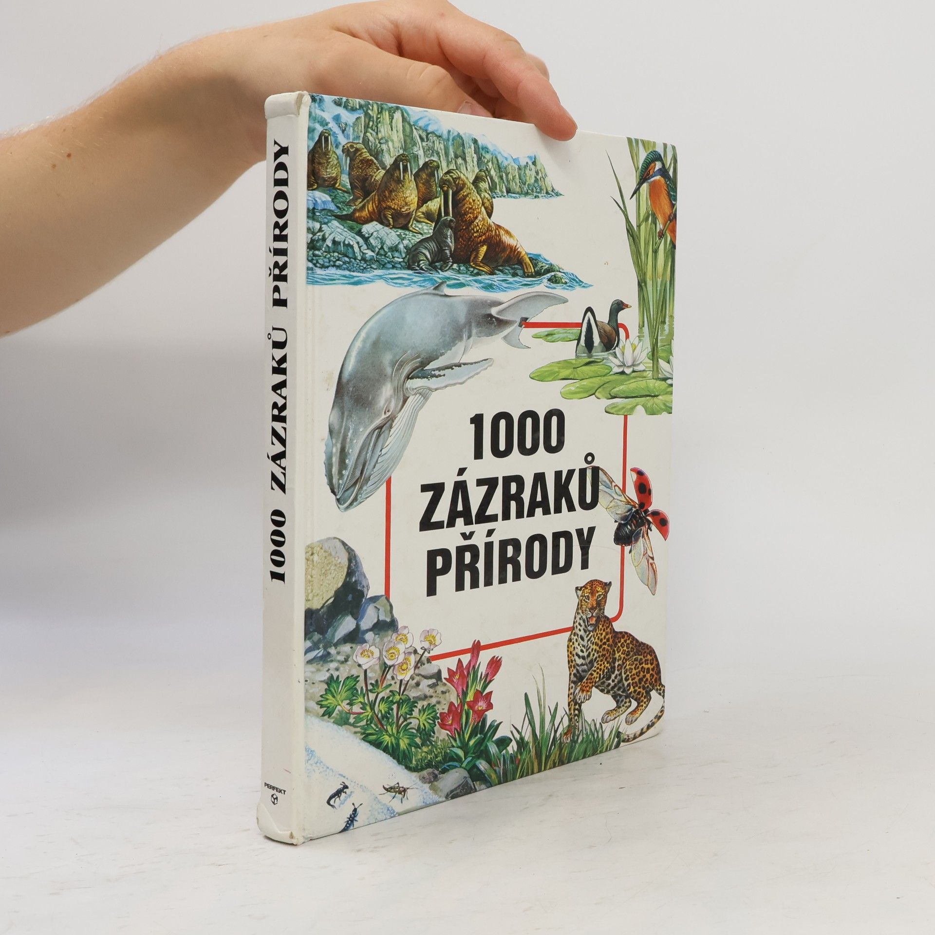 Evžen Kůs 1000 zázraků přírody