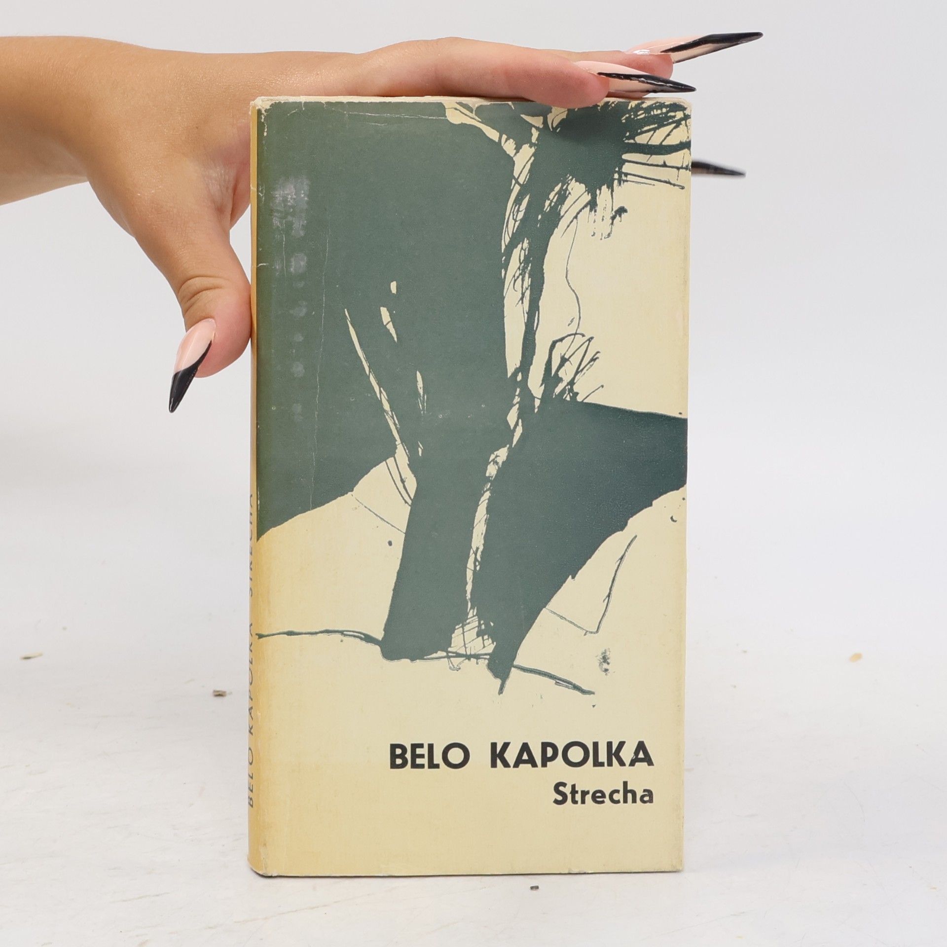 Belo Kapolka Strecha
