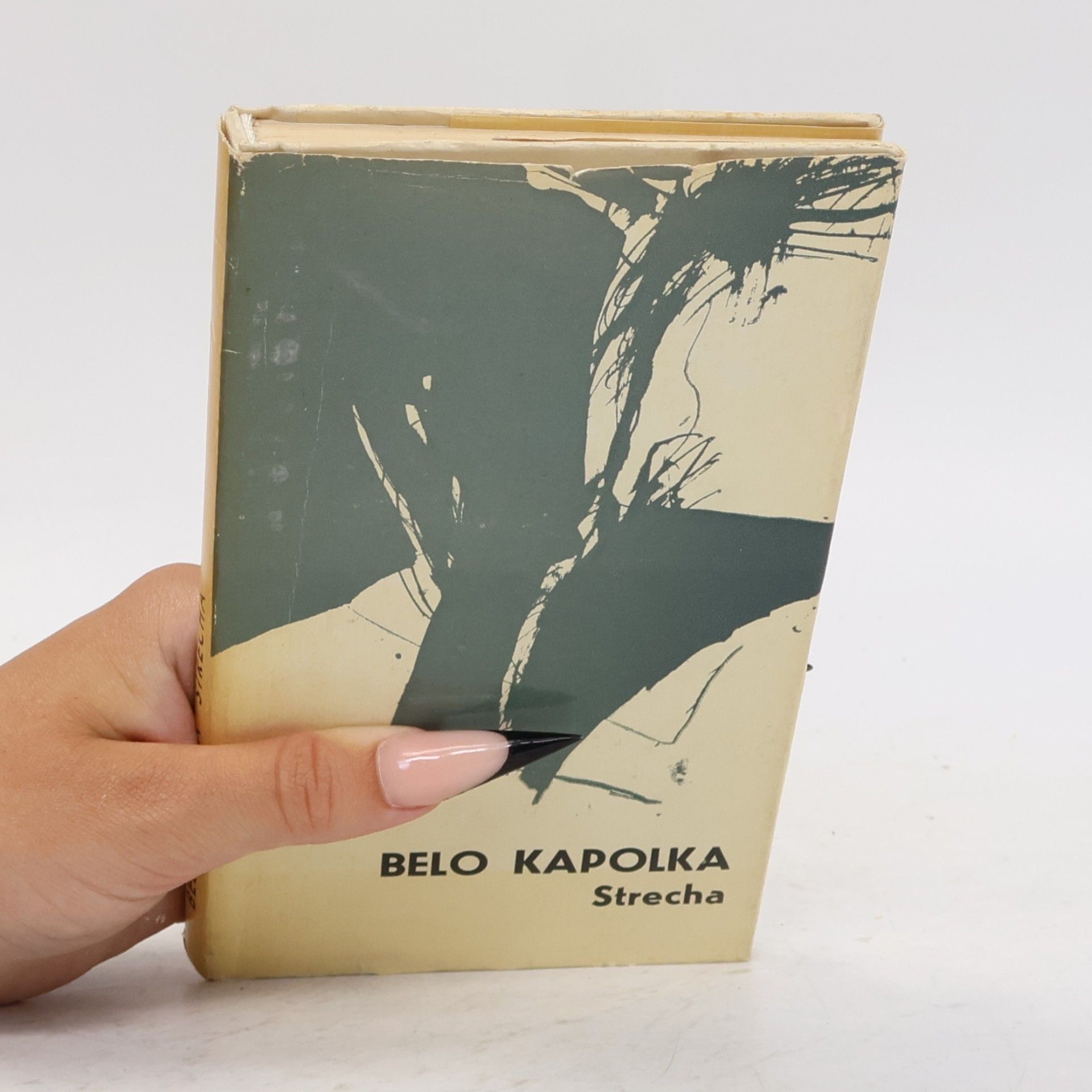 Belo Kapolka Strecha