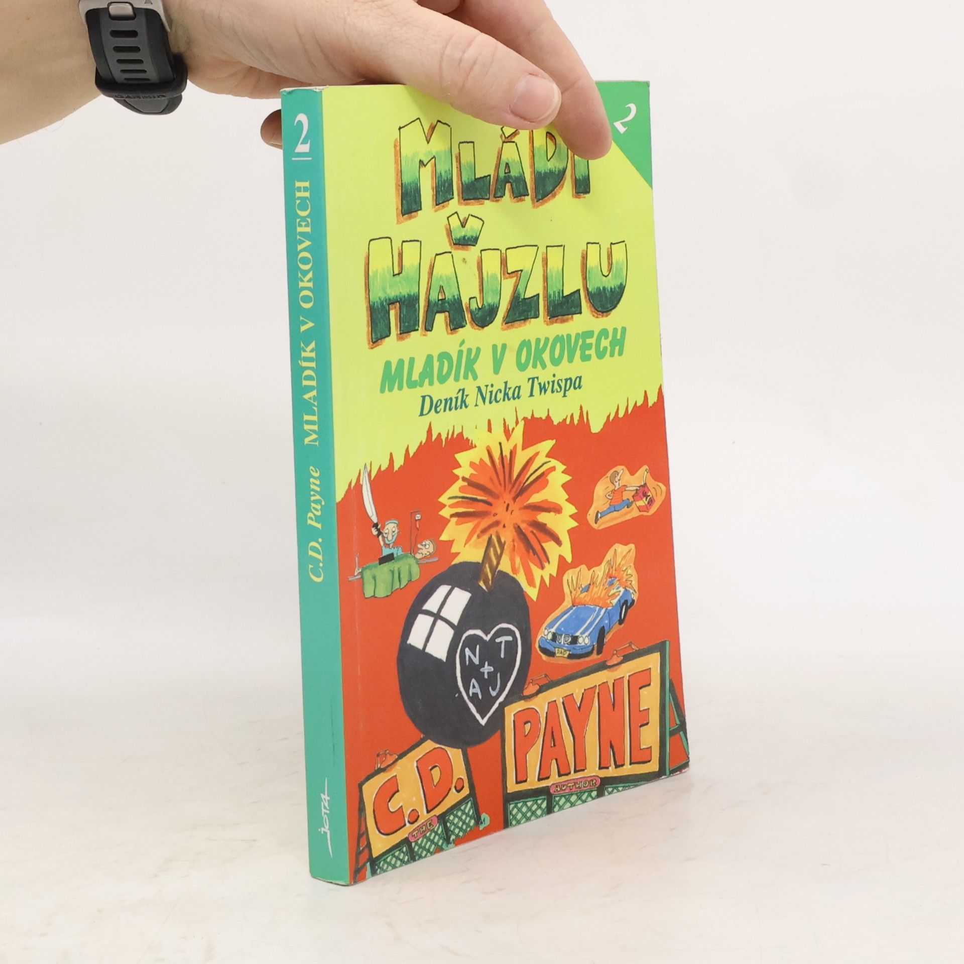 Mládí v hajzlu : deník Nicka Twispa 2. Mladík v okovech