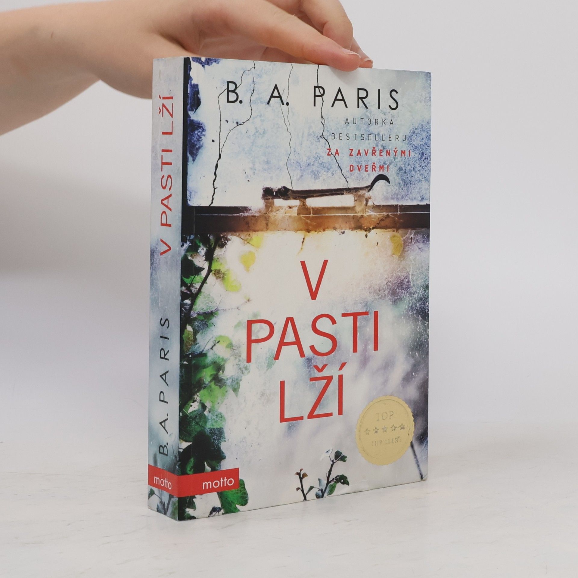 B. A. Paris V pasti lží