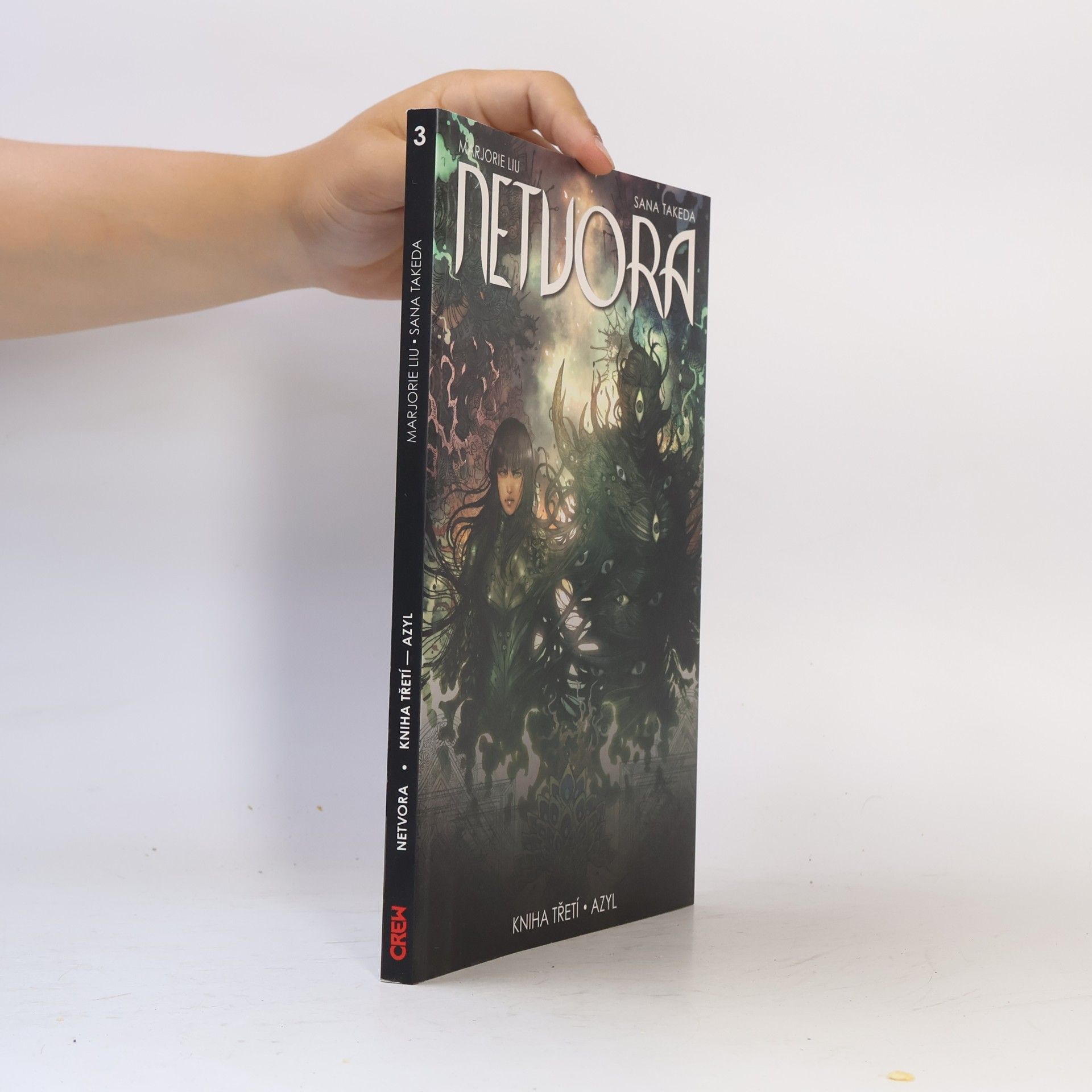 Marjorie Liu Netvora. Azyl. Kniha 3.