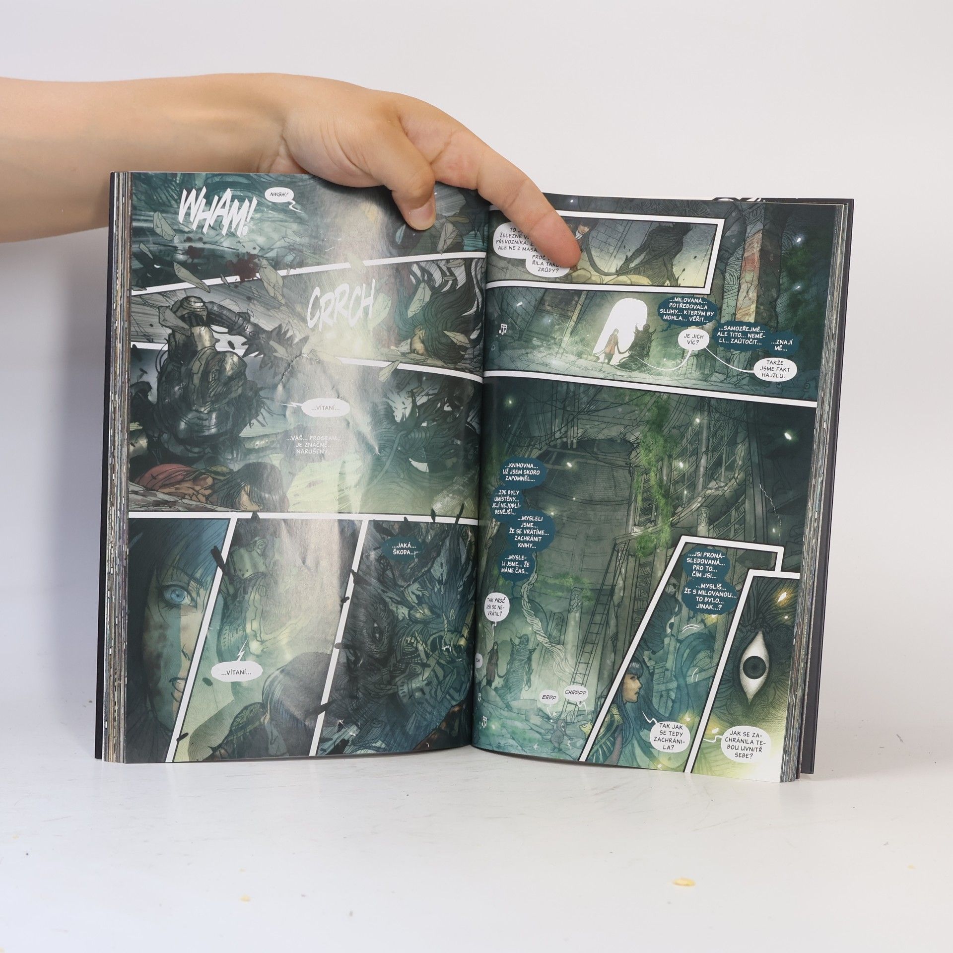 Marjorie Liu Netvora. Azyl. Kniha 3.
