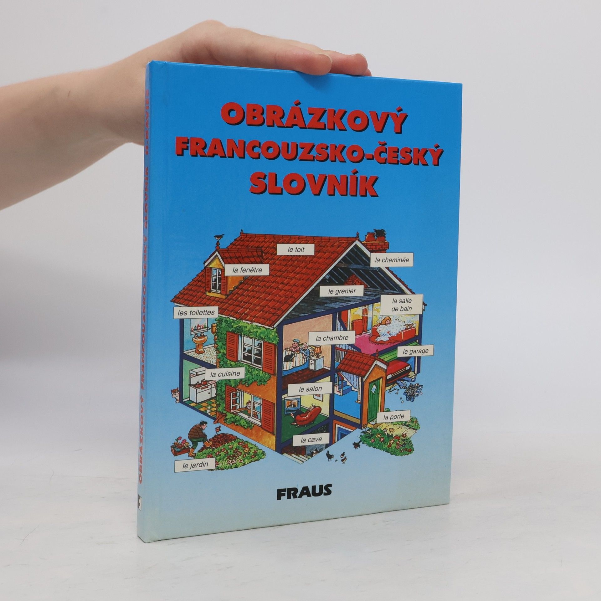 Helen Davies Obrázkový francouzsko-český slovník