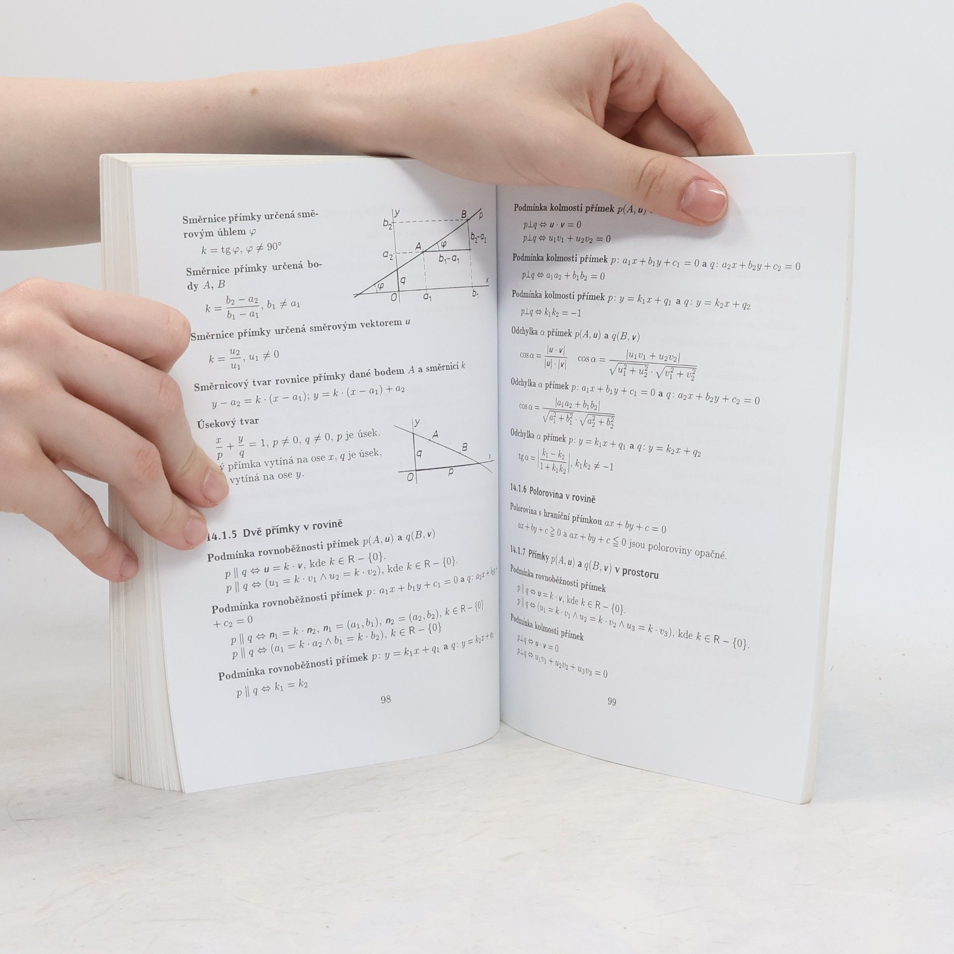 Ivan Bušek Středoškolská matematika ve vzorcích a větách