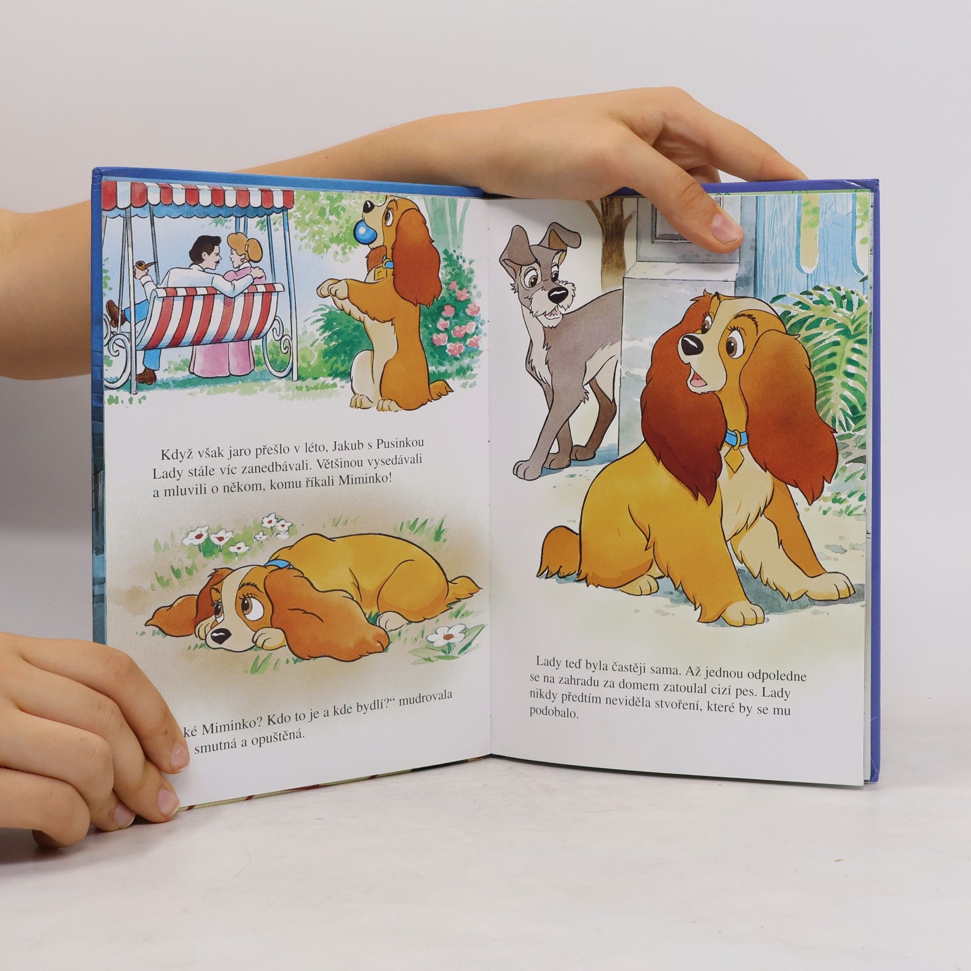 Autorenkollektiv Lady a Tramp
