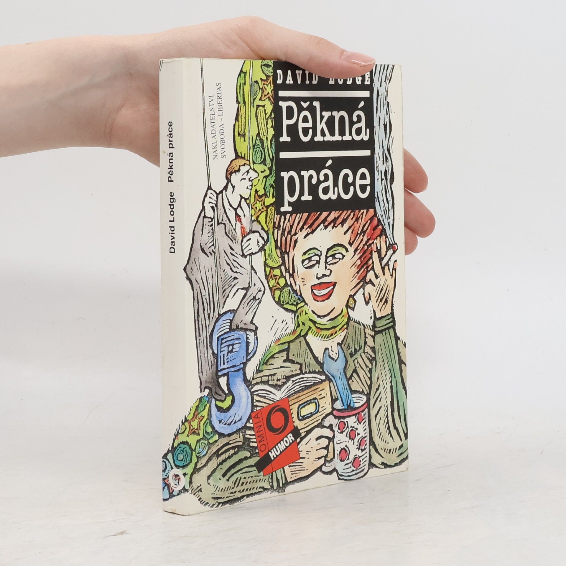 David Lodge Pěkná práce