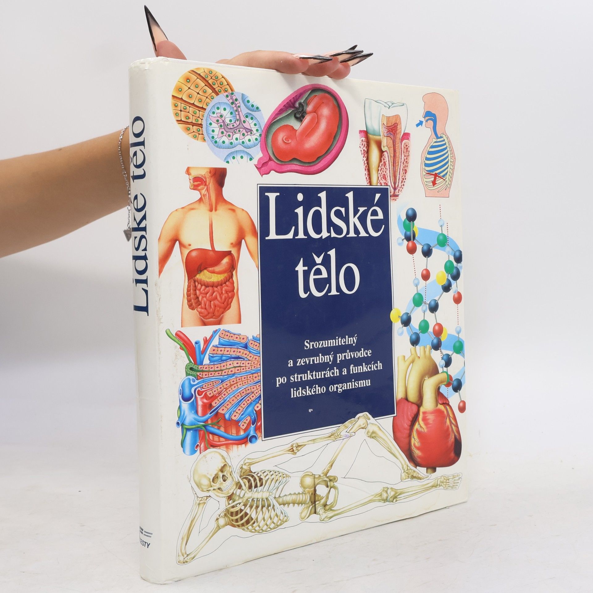 Jaroslav Hořejší Lidské tělo
