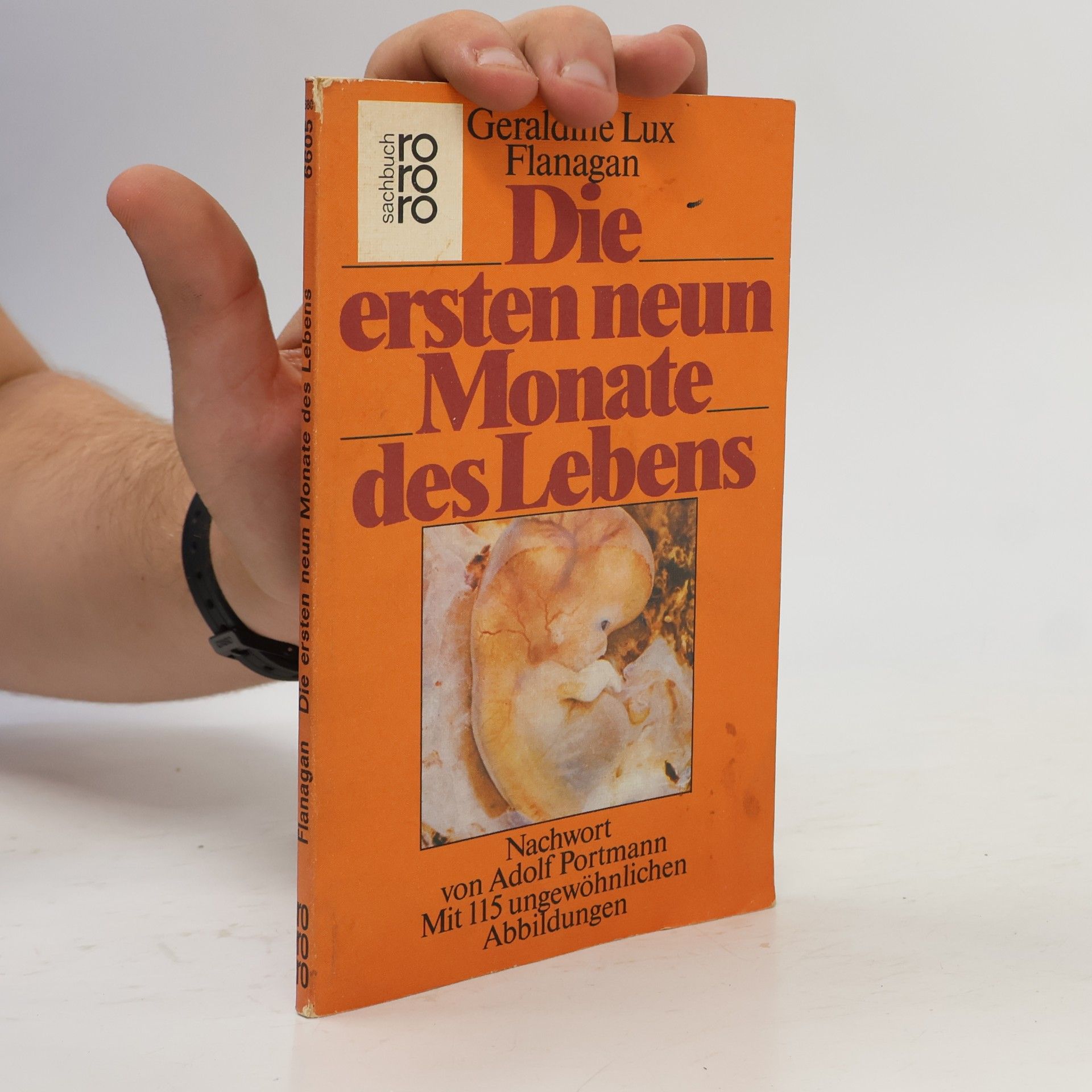 Geraldine Lux Flanagan Die ersten neun Monate des Lebens