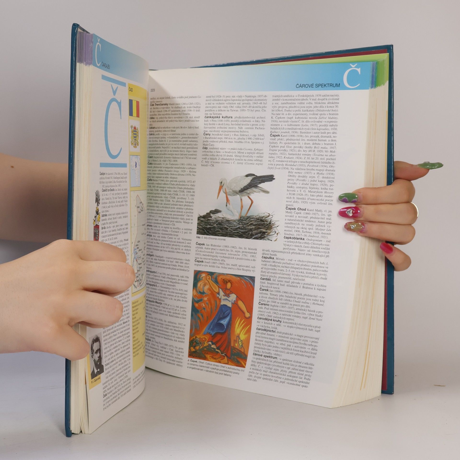Autorenkollektiv Ottova všeobecná encyklopedie ve dvou svazcích. A-L