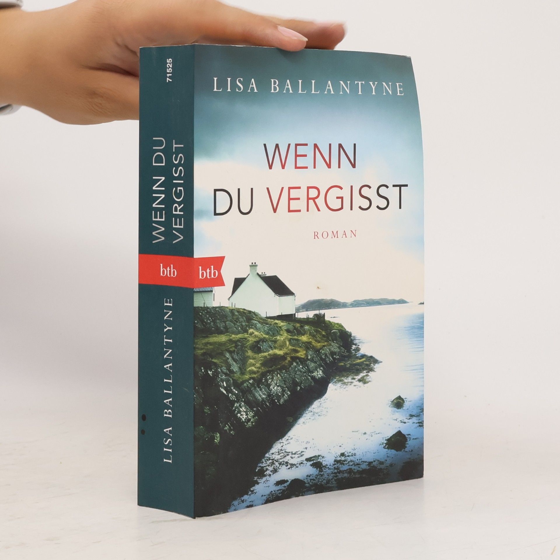 Lisa Ballantyne Wenn du vergisst