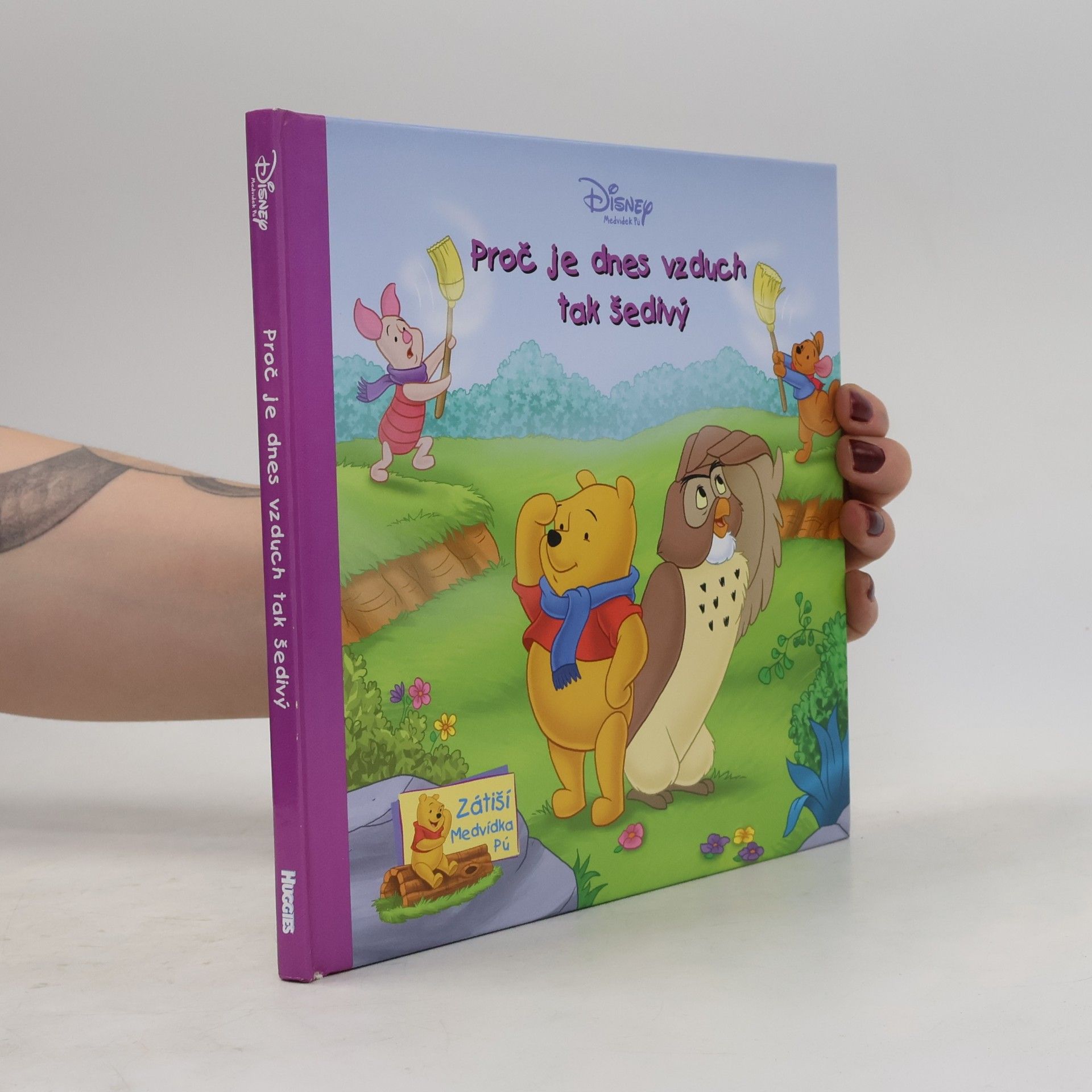 Kolektiv autorů Proč je dnes vzduch tak šedivý