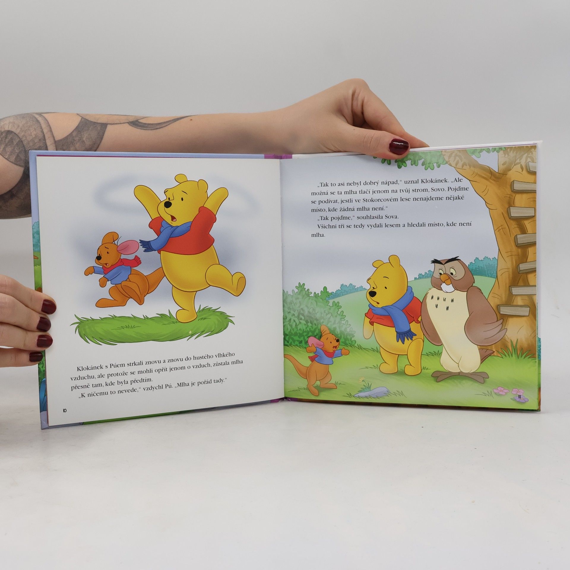 Kolektiv autorů Proč je dnes vzduch tak šedivý