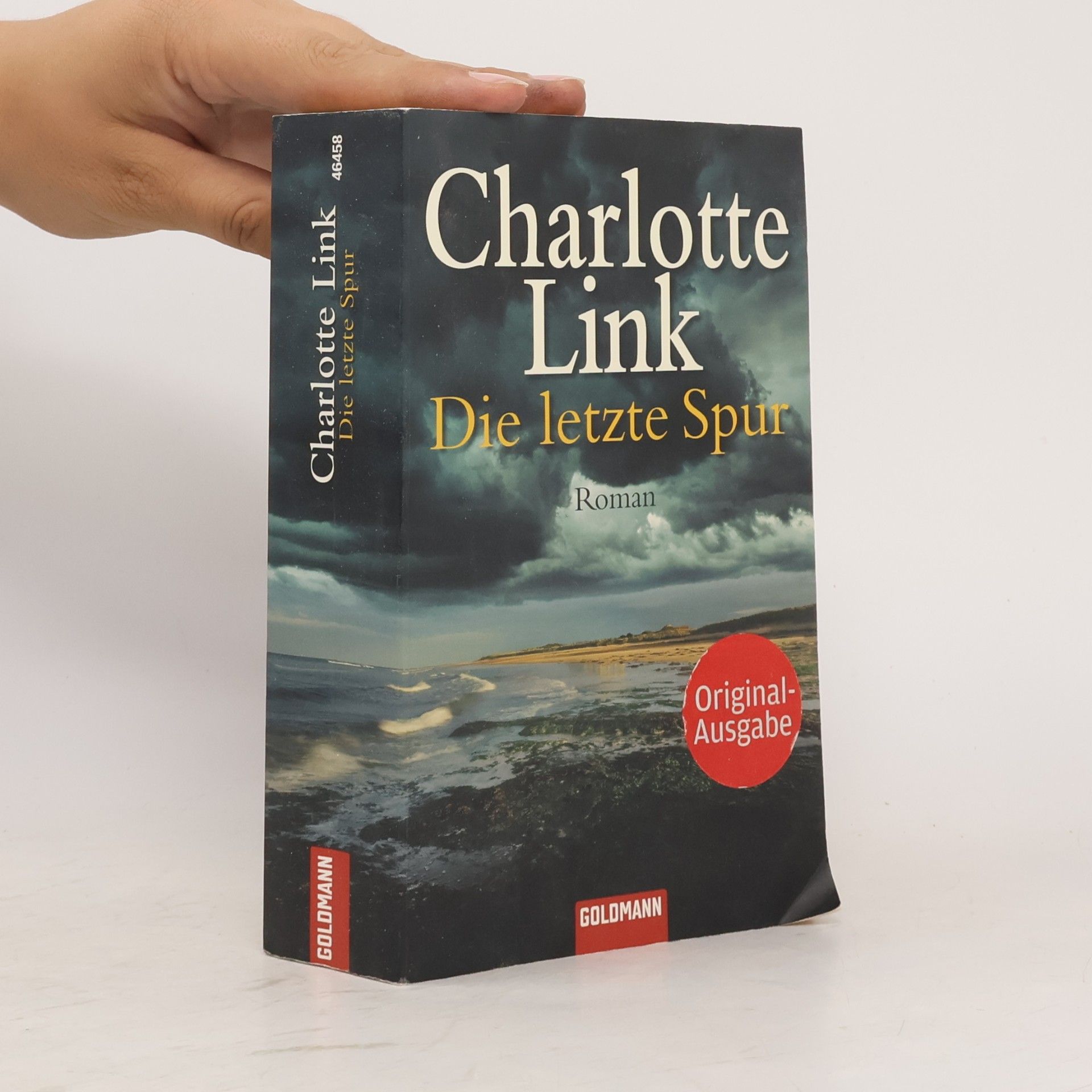 Charlotte Link Die letzte Spur