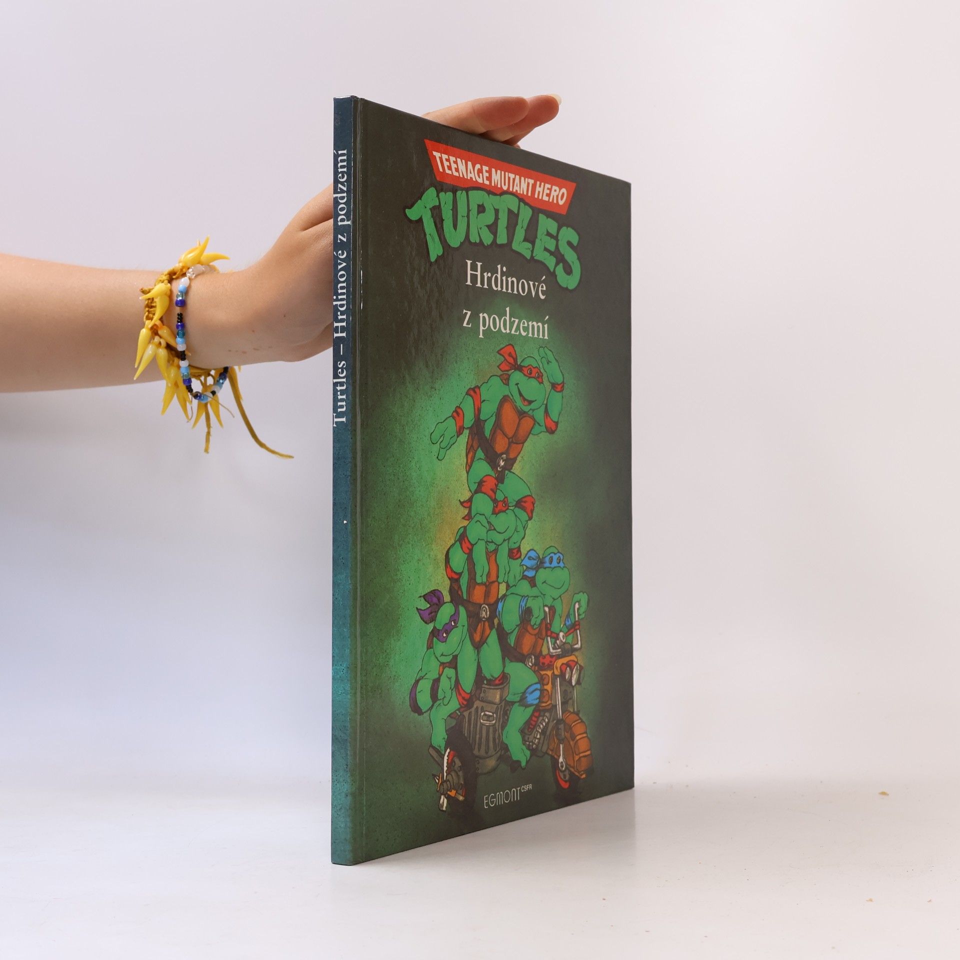 Maureen Spurgeon Teenage Mutant Ninja Turtles. Hrdinové z podzemí