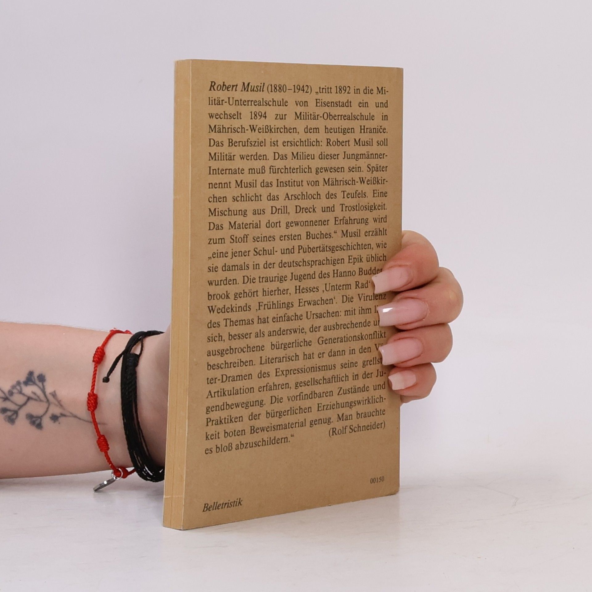 Robert Musil Die Verwirrungen des Zöglings Törleß