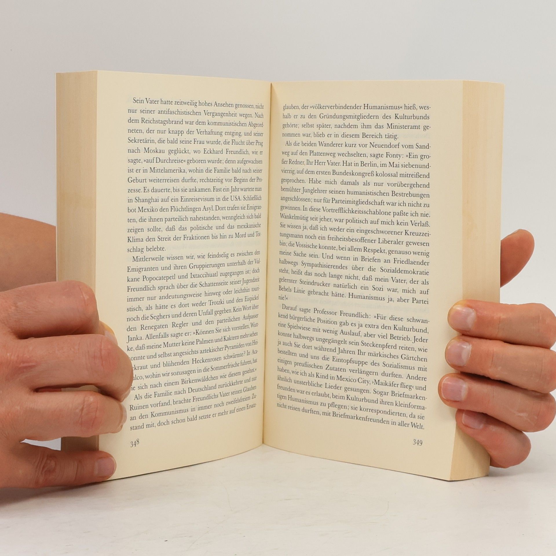 Günter Grass Ein weites Feld