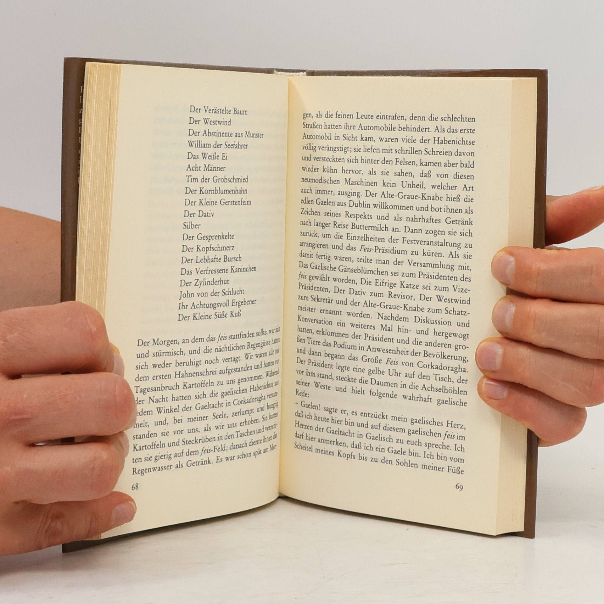 Flann O’Brien Das Barmen