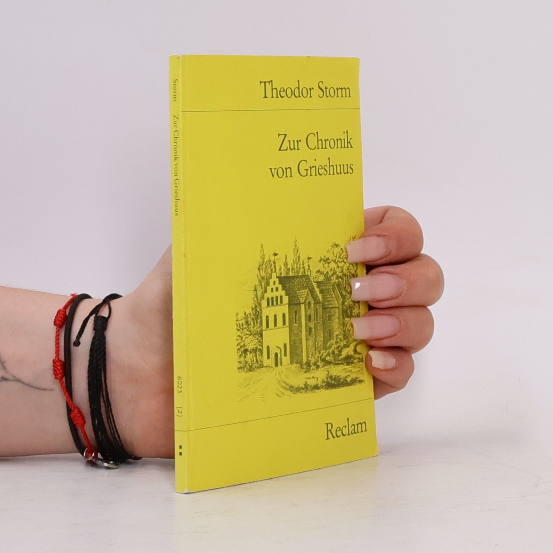 Theodor Storm Reclams Universal-Bibliothek - 2: Zur Chronik von Grieshuus