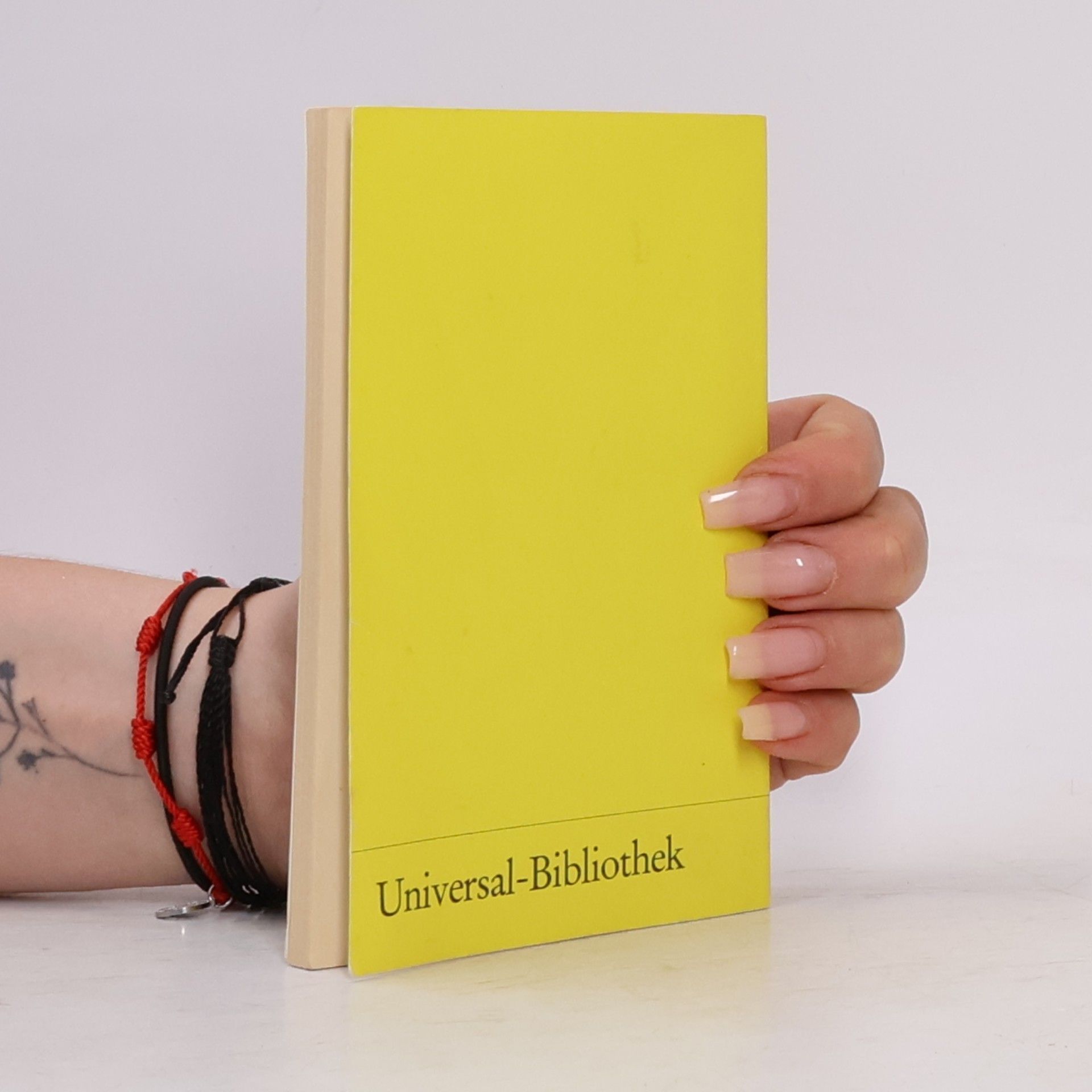 Theodor Storm Reclams Universal-Bibliothek - 2: Zur Chronik von Grieshuus