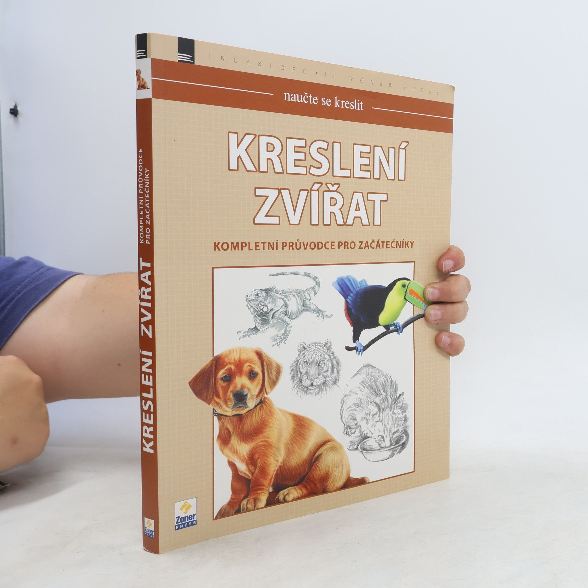 Autorenkollektiv Naučte se kreslit - Kreslení zvířat