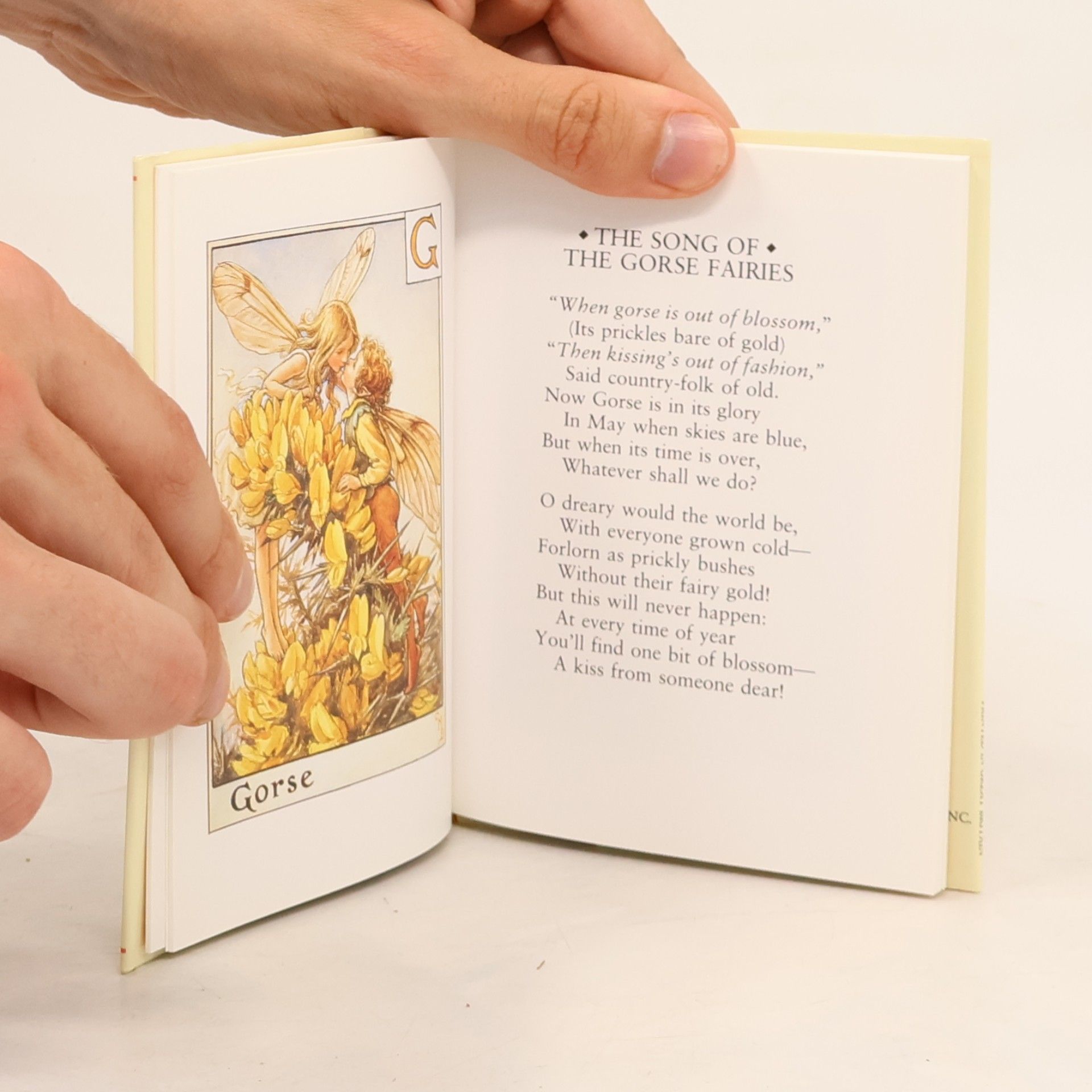 Cicely Mary Barker Flower Fairy Alphabet