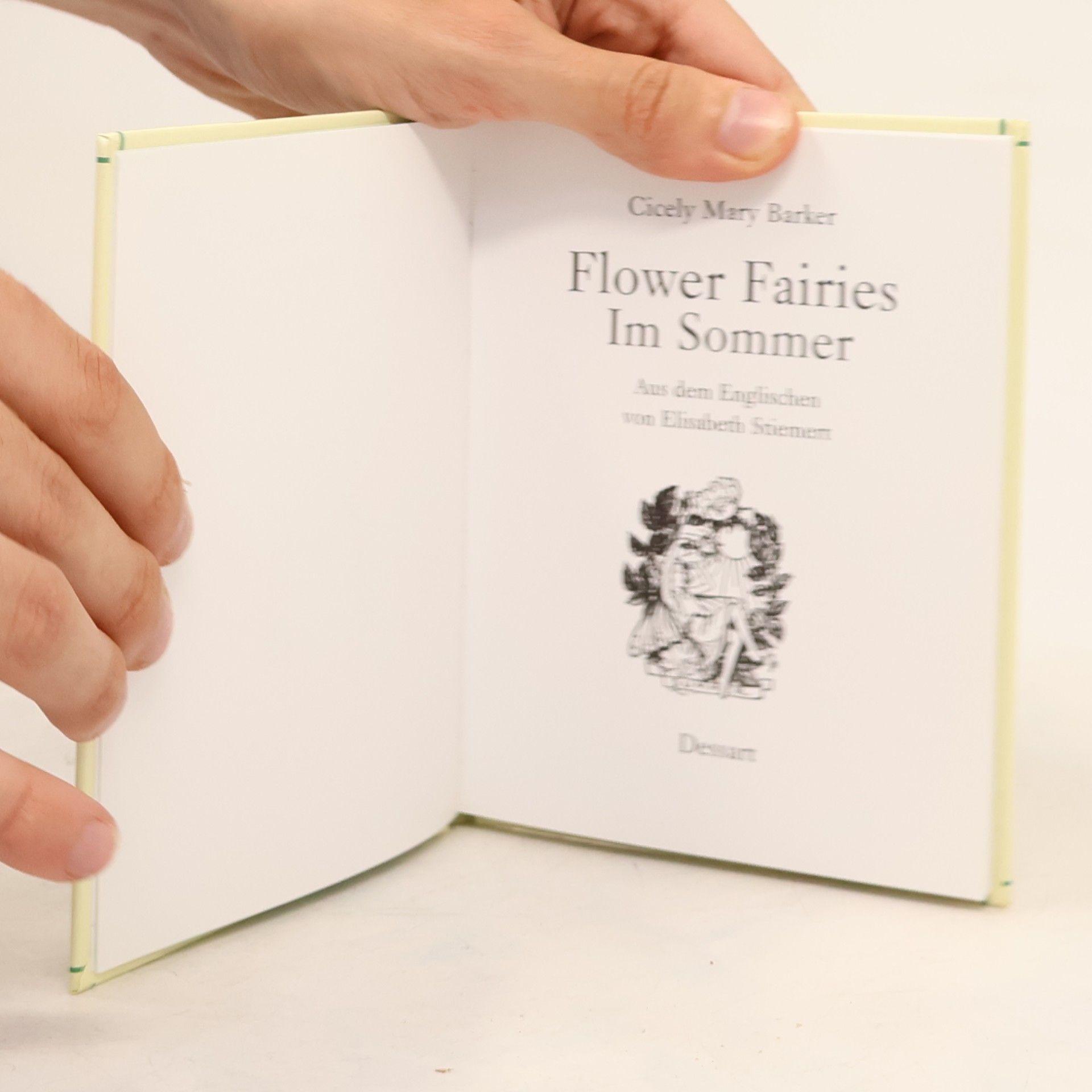Cicely M. Barker Flower Fairies: Im Sommer