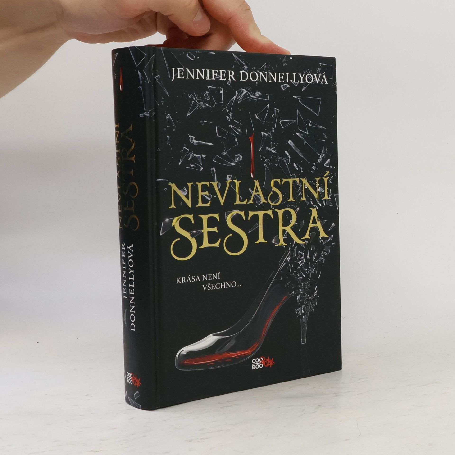 Jennifer Donnelly Nevlastní sestra