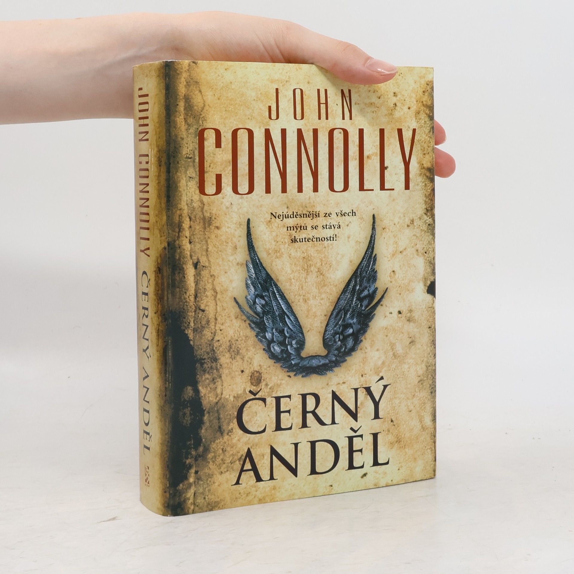 John Connolly Černý anděl