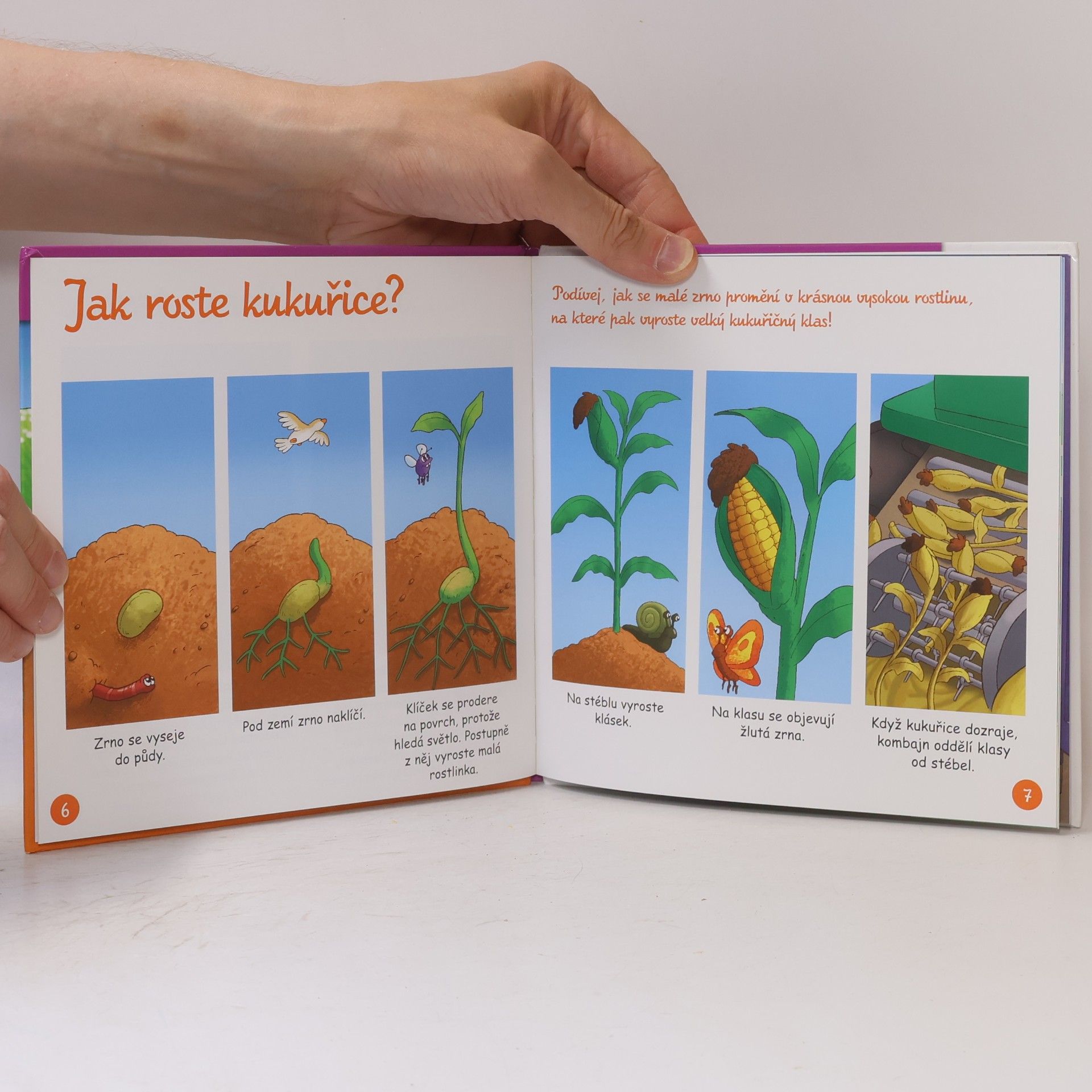 Various authors Výrobky z venkova 25. Pěstování obilí