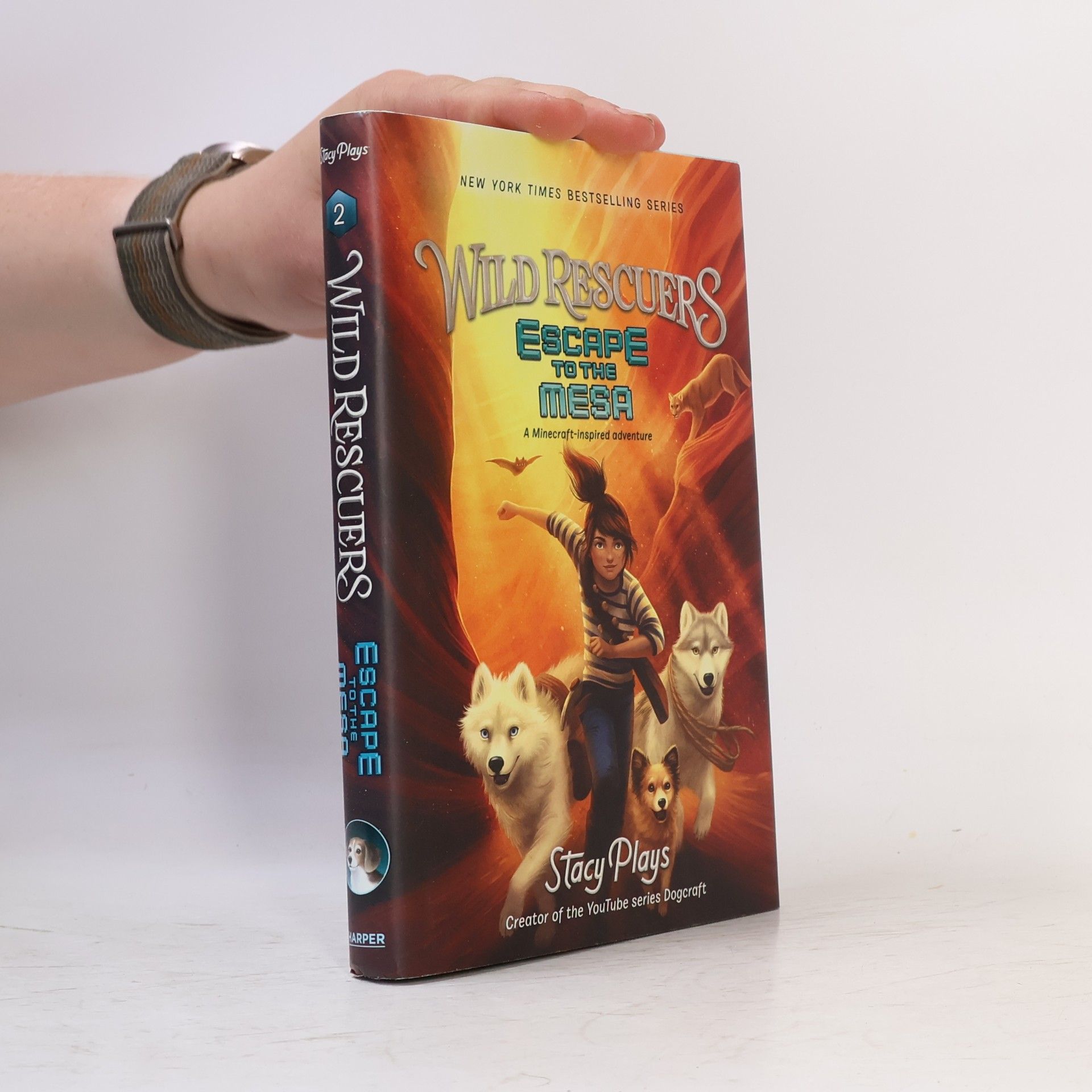 Stacy Plays Wild Rescuers: Escape to the Mesa