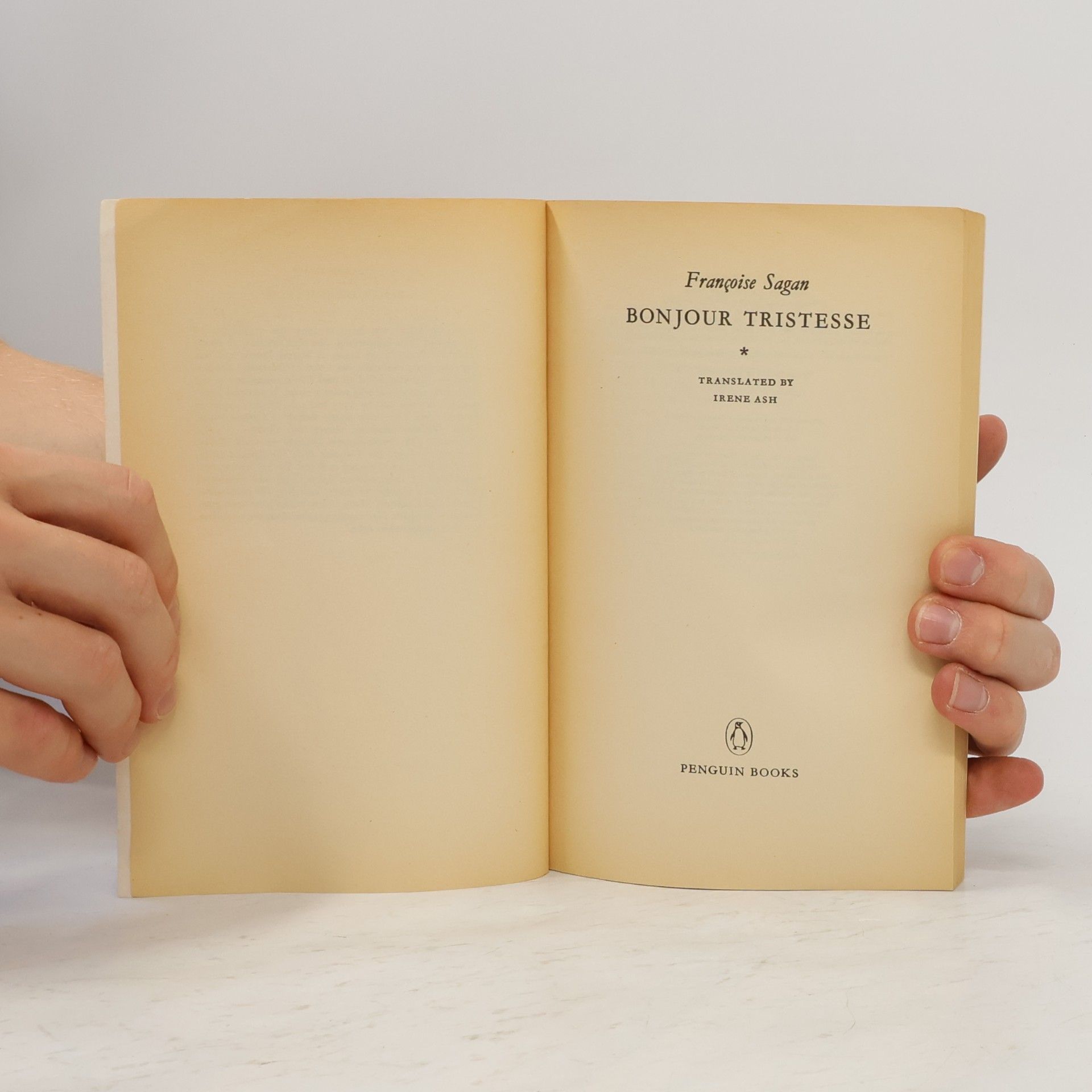 Françoise Sagan Bonjour Tristesse
