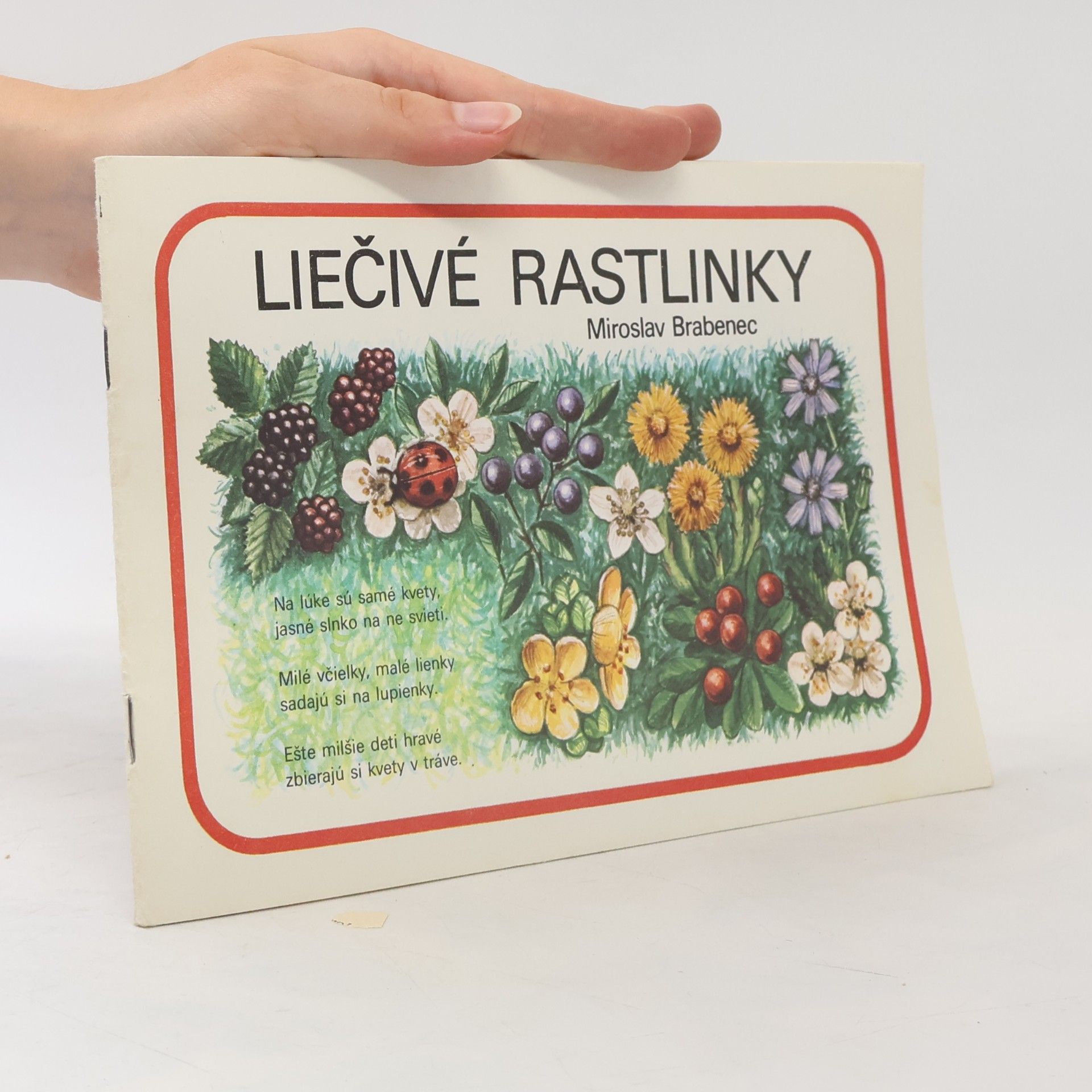 Brabenec Miroslav Liečivé rastlinky