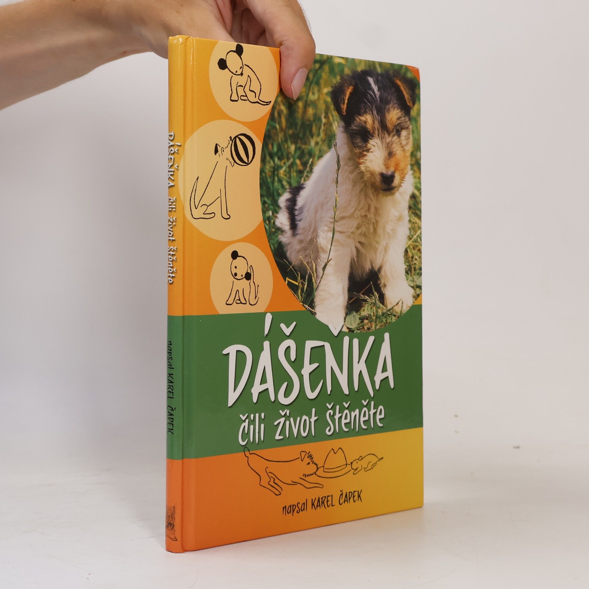 Karel Čapek Dášeňka čili život štěněte