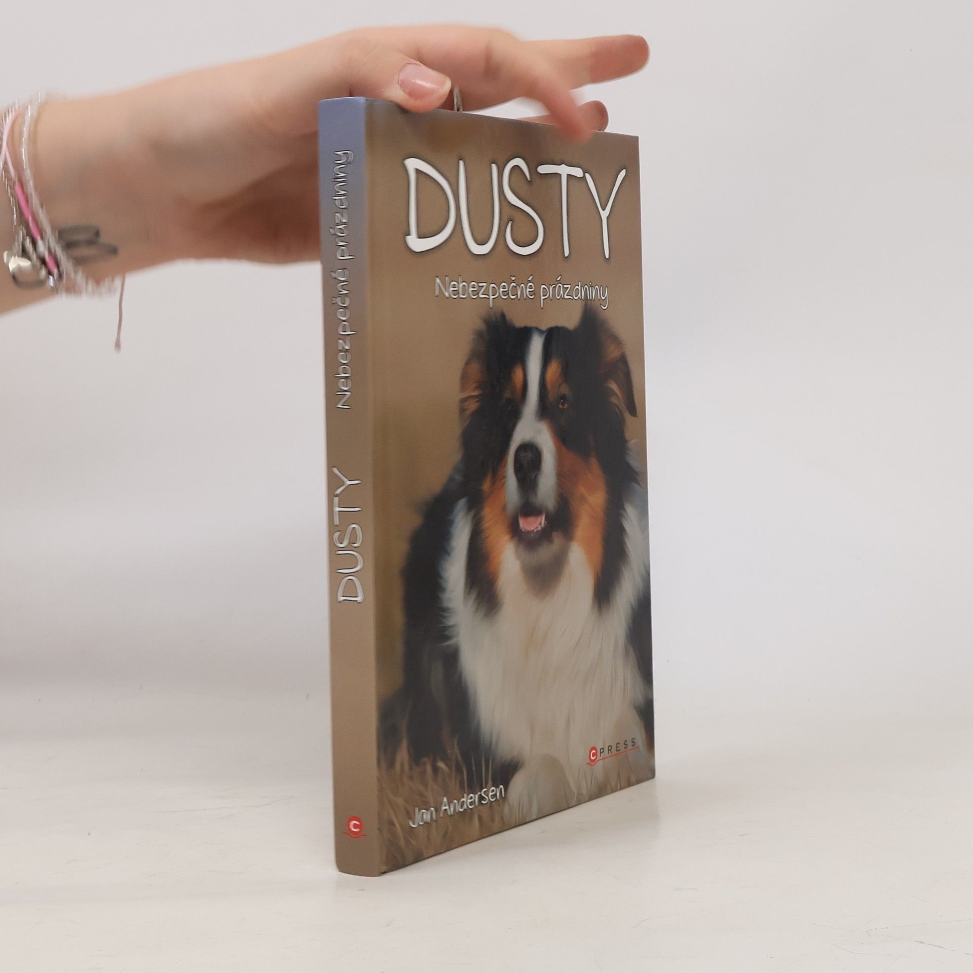Wolfram Hänel Dusty: Nebezpečné prázdniny