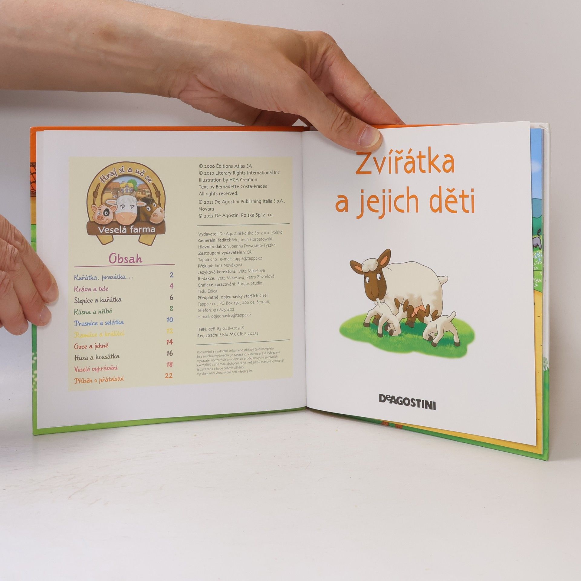 Autorenkollektiv Na dvorku 19. Zvířátka a jejich děti