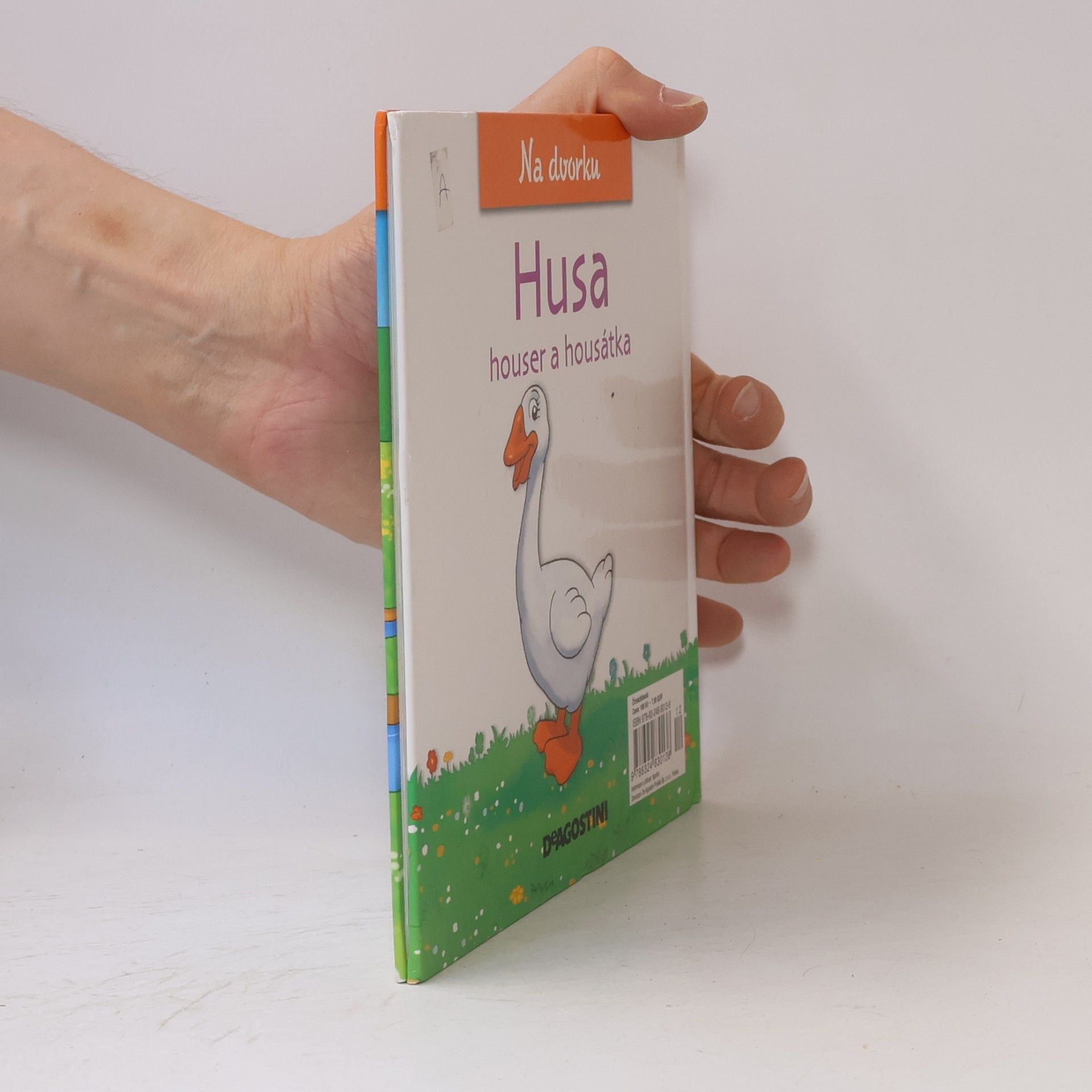 Various authors Na dvorku 29. Husa