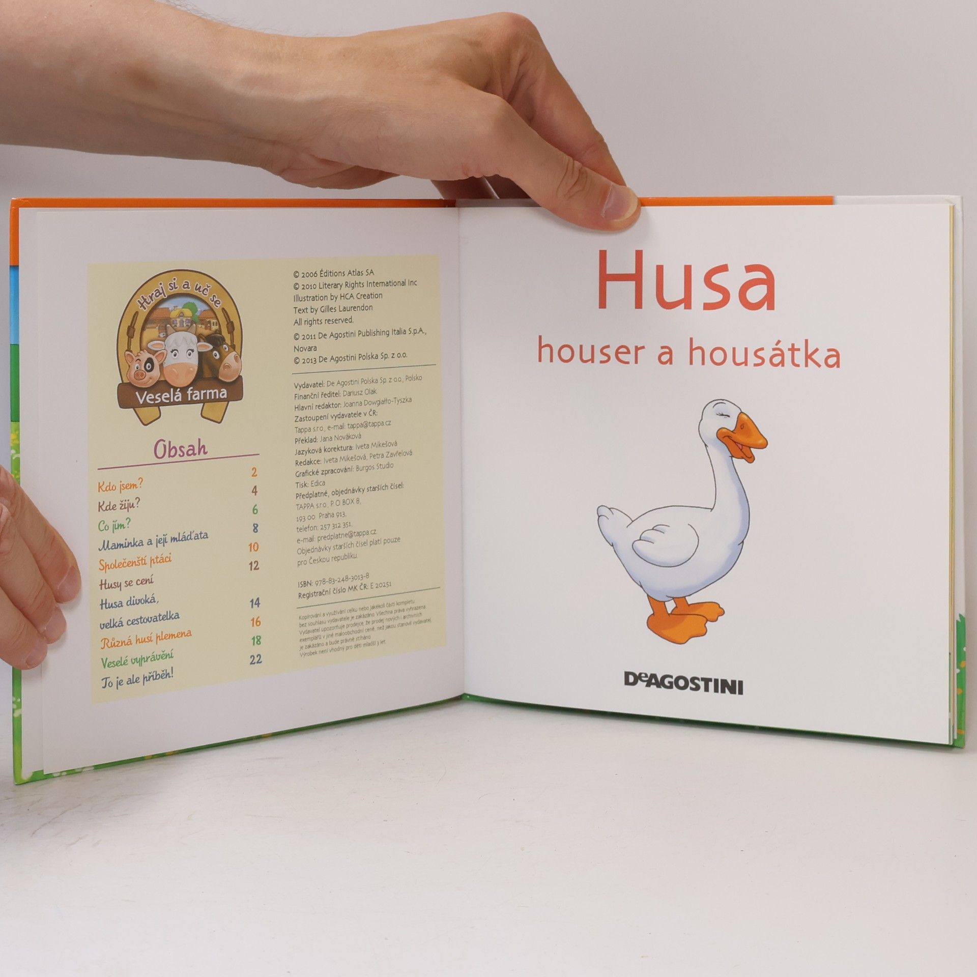 Various authors Na dvorku 29. Husa