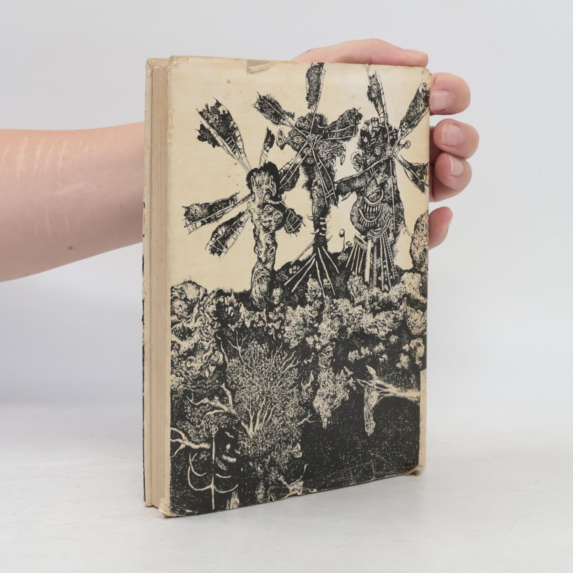 Miguel de Cervantes Dômyselný rytier Don Quijote de la Mancha