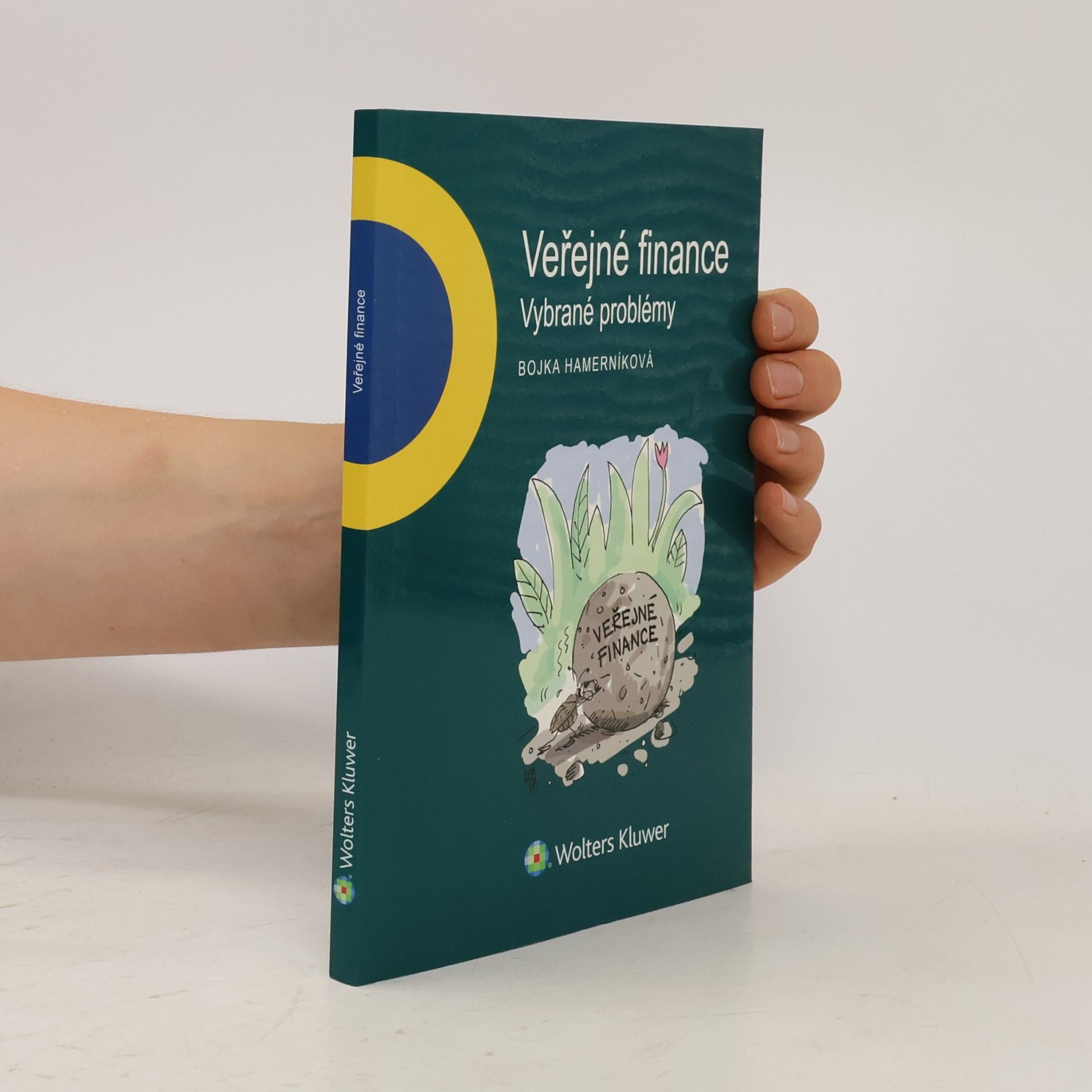 Bojka Hamerníková Veřejné finance - vybrané problémy