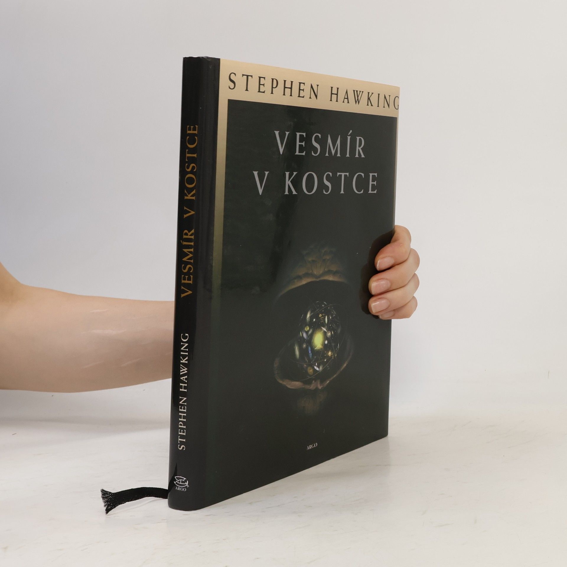 Stephen Hawking Vesmír v kostce