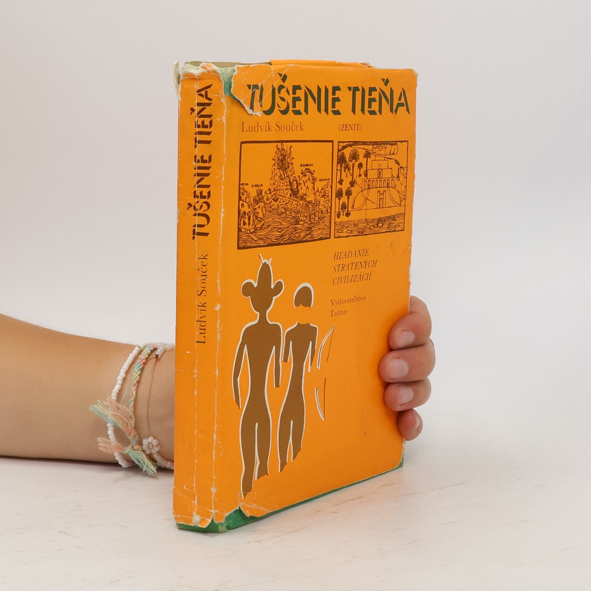 Ludvík Souček Tušenie tieňa