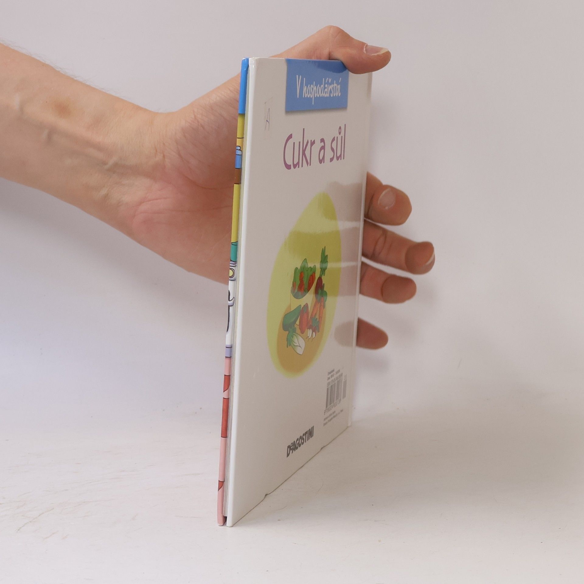 Various authors V hospodářství 33. Cukr a sůl