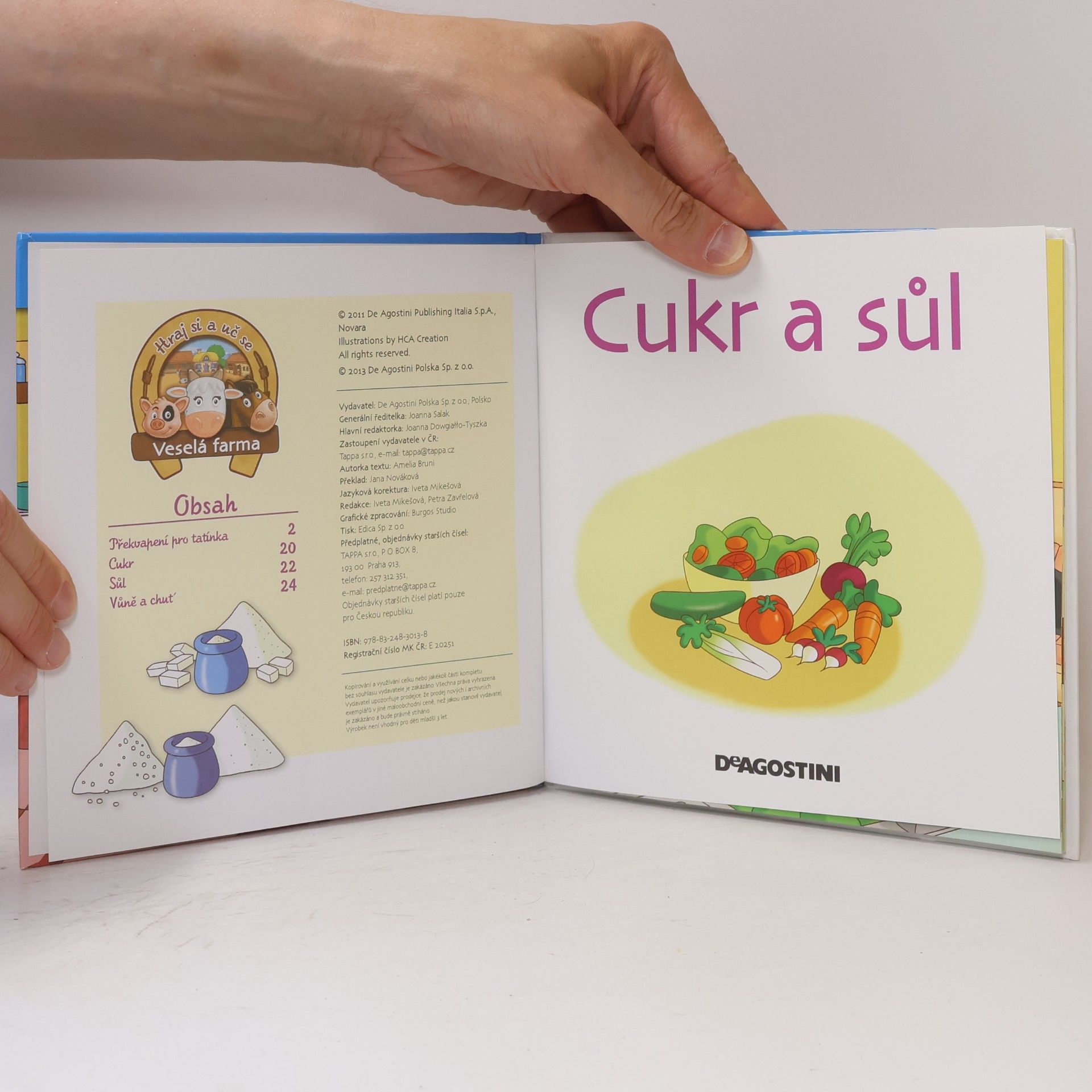 Various authors V hospodářství 33. Cukr a sůl