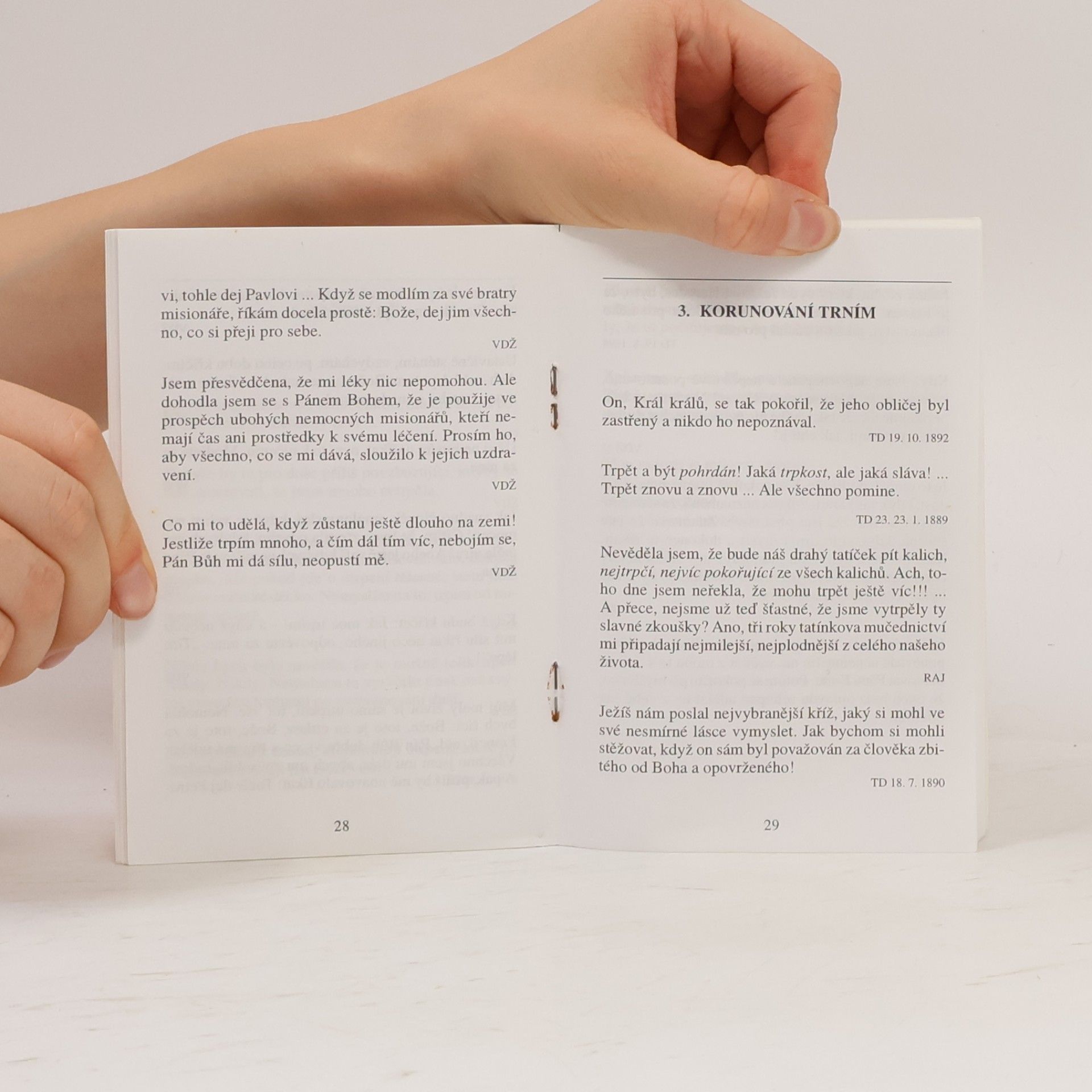 Autorenkollektiv Růženec se svatou Terezií z Lisieux