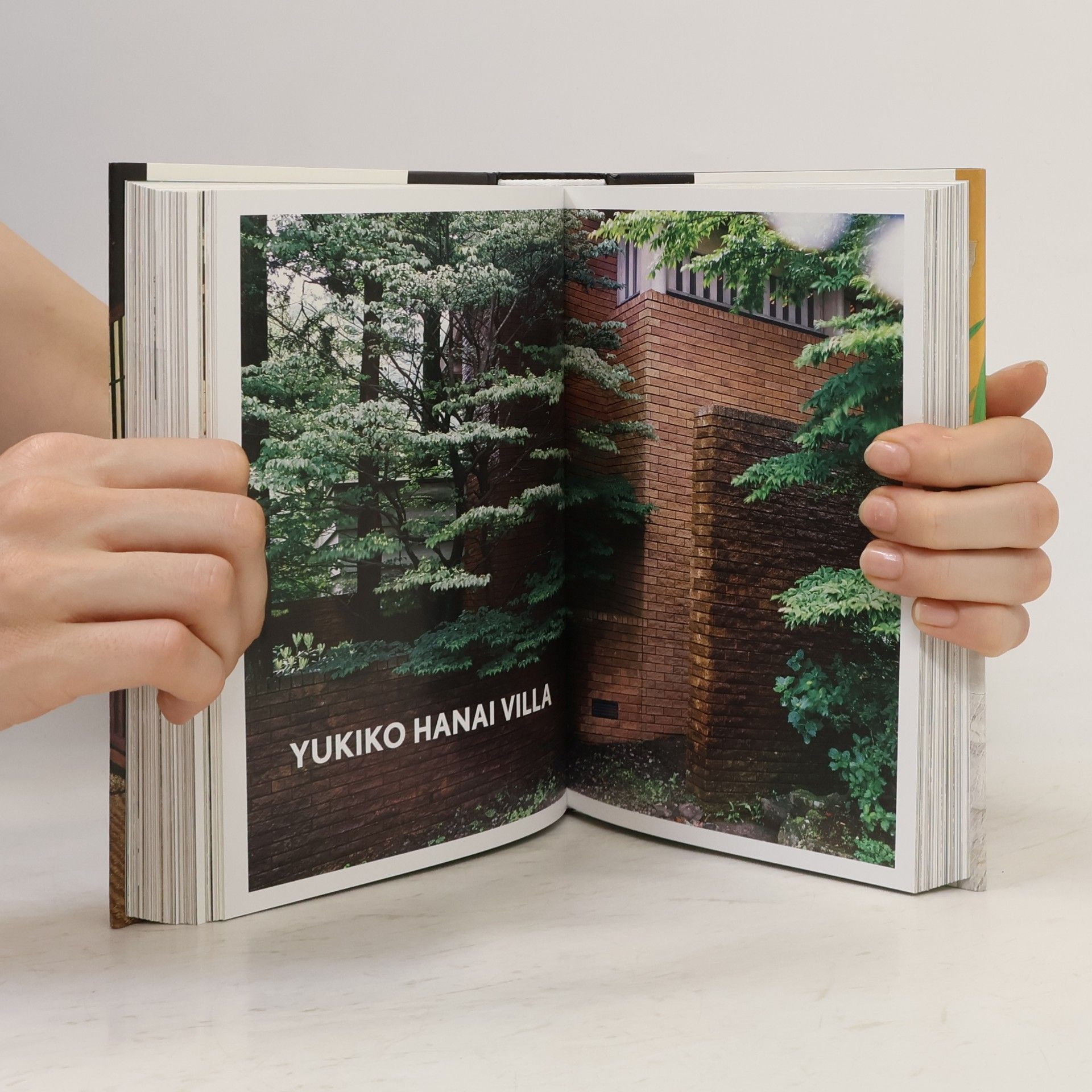Reto Gunti Living in Japan