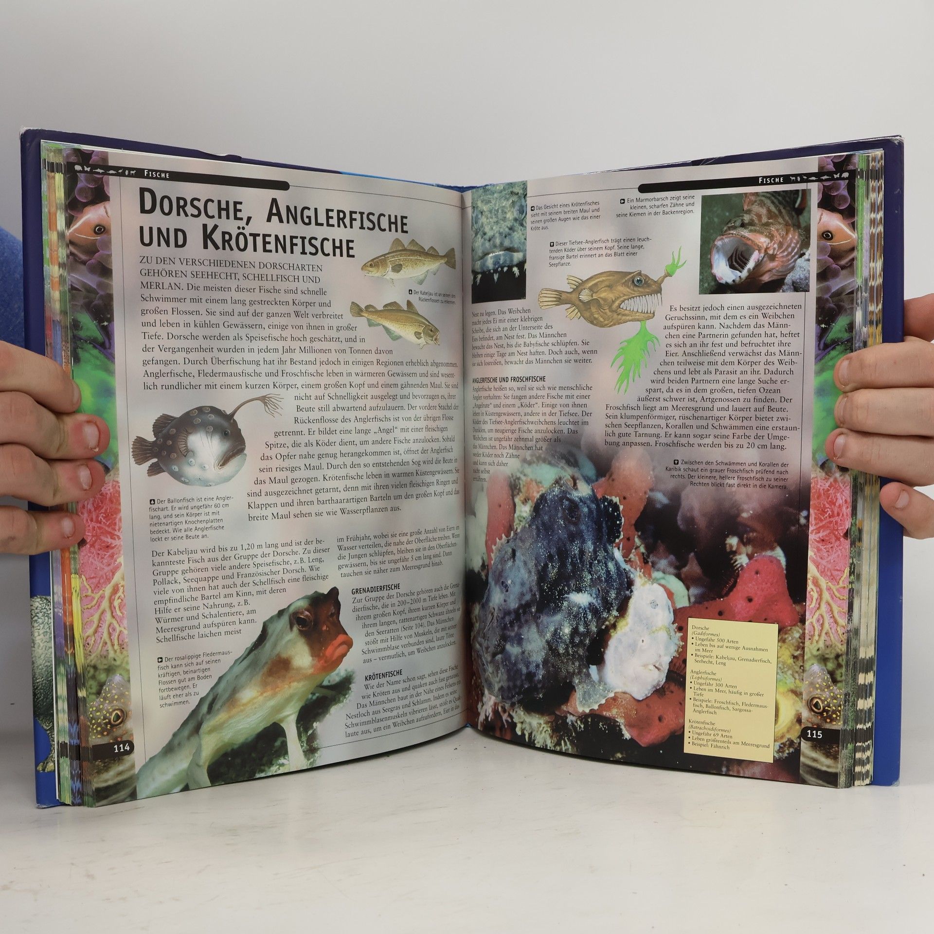Autorenkollektiv Die Welt der Tiere
