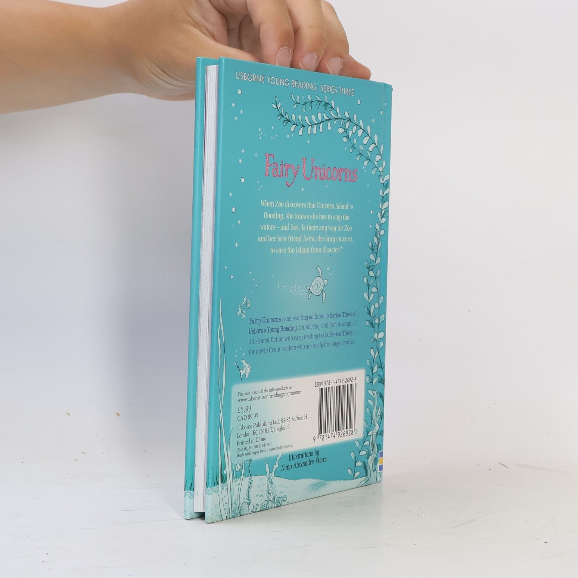 Zanna Davidson Fairy Unicorns. Enchanted river