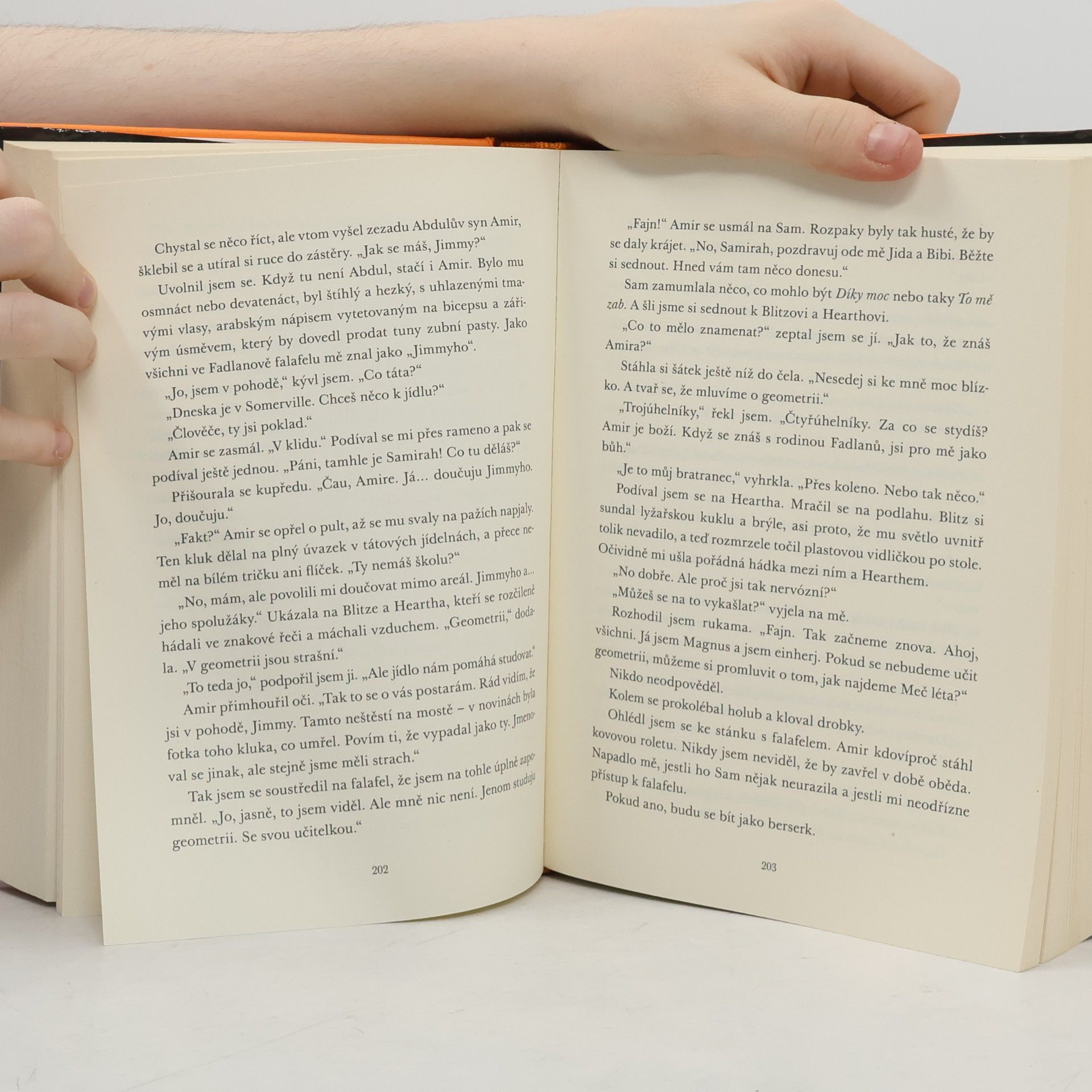 Rick Riordan Magnus Chase a bohové Ásgardu. Prastarý meč