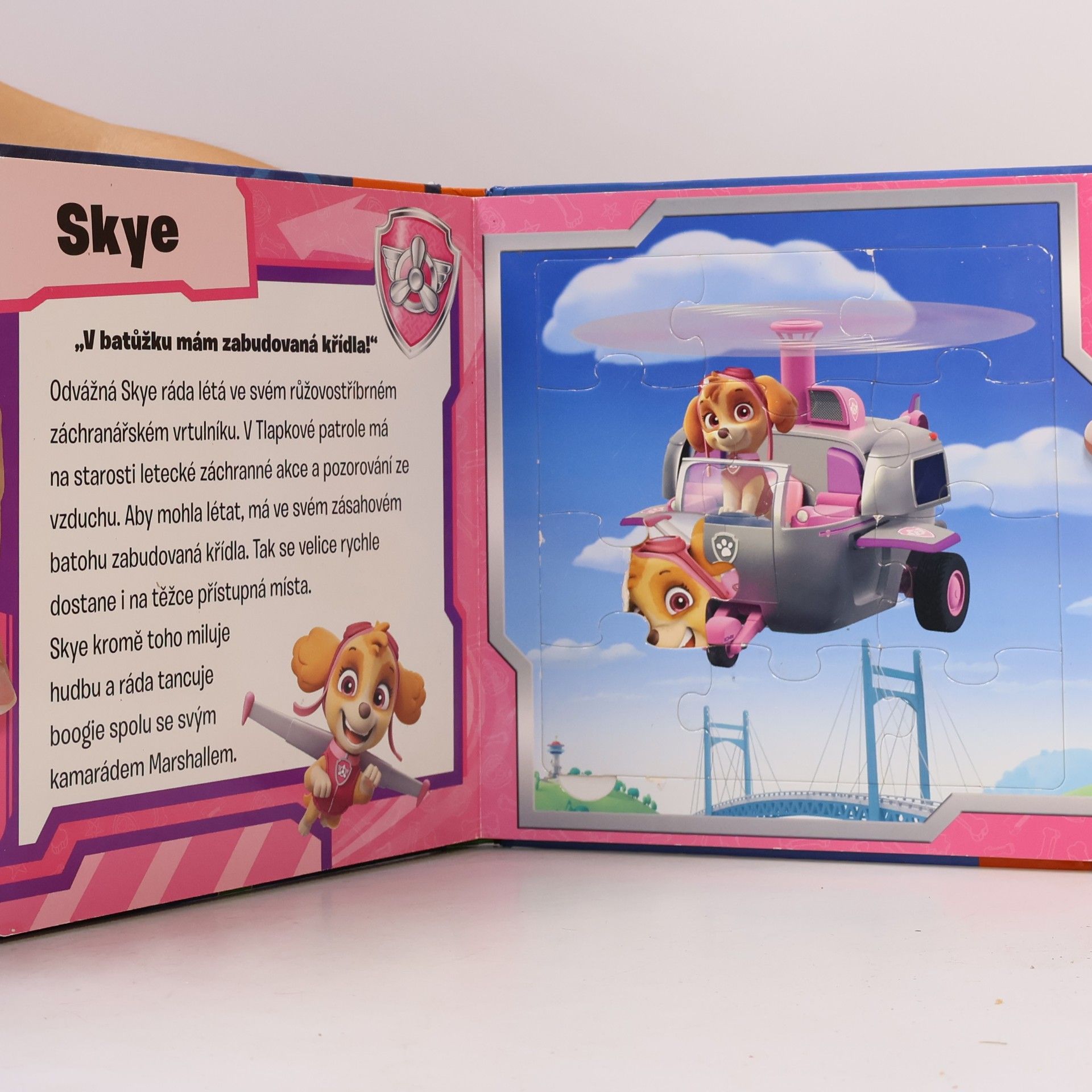 Kolektiv autorů Paw Patrol. Puzzlebuch